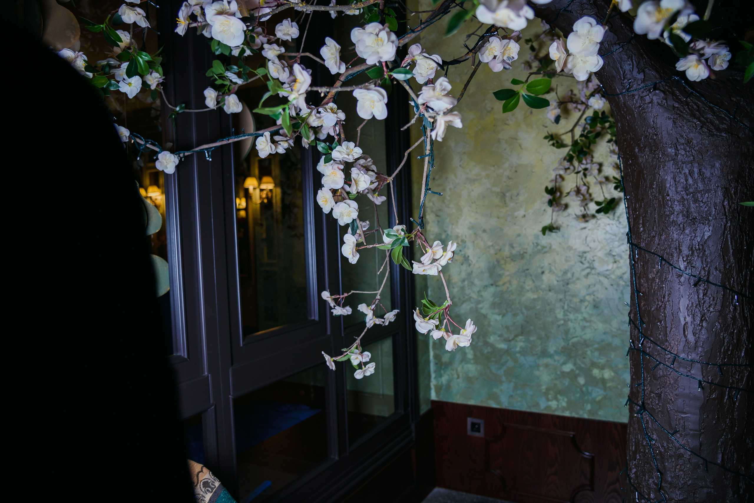 Зимний сад. Фотограф Галина Нестерова