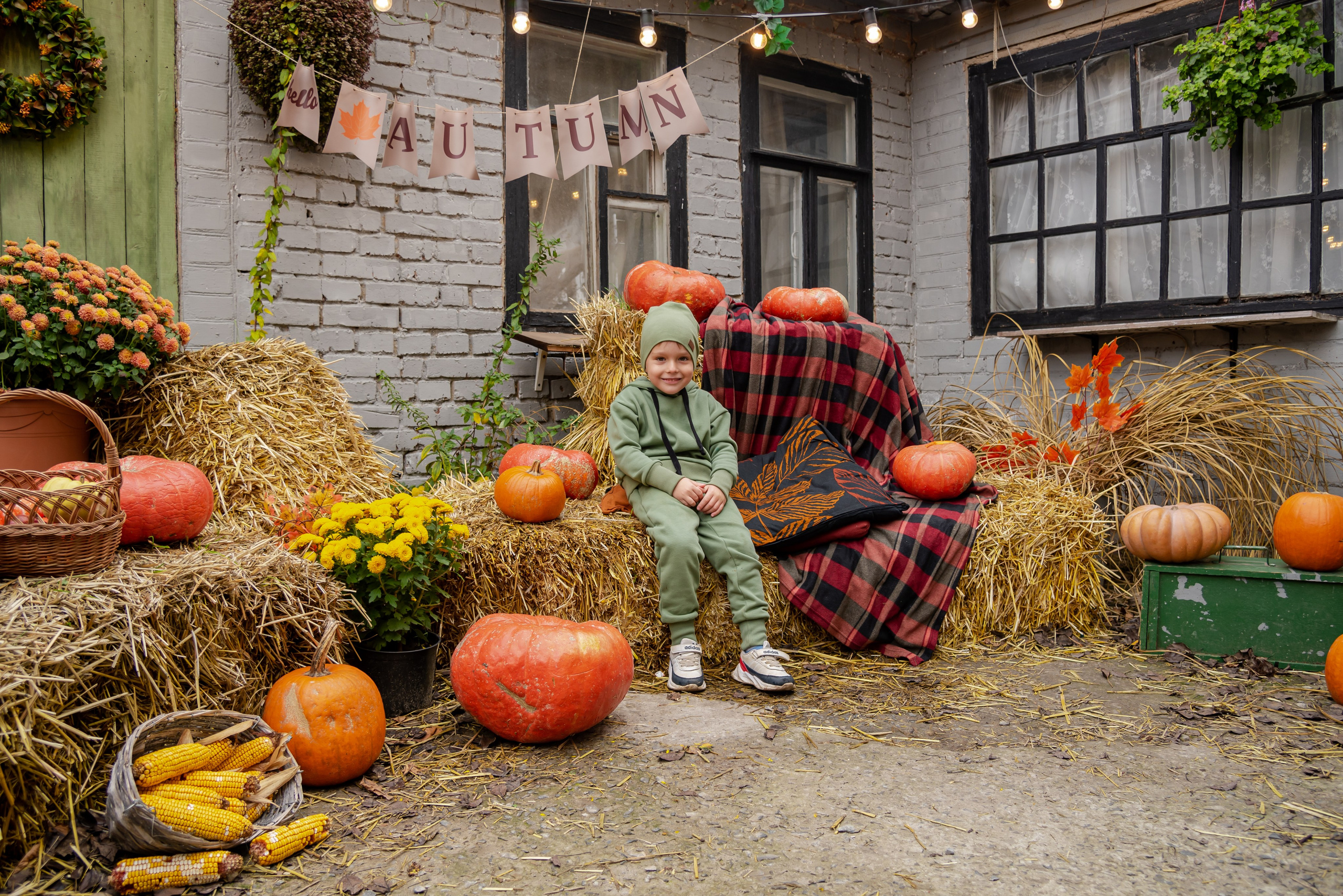 Авакадо. Фотограф Галина Нестерова
