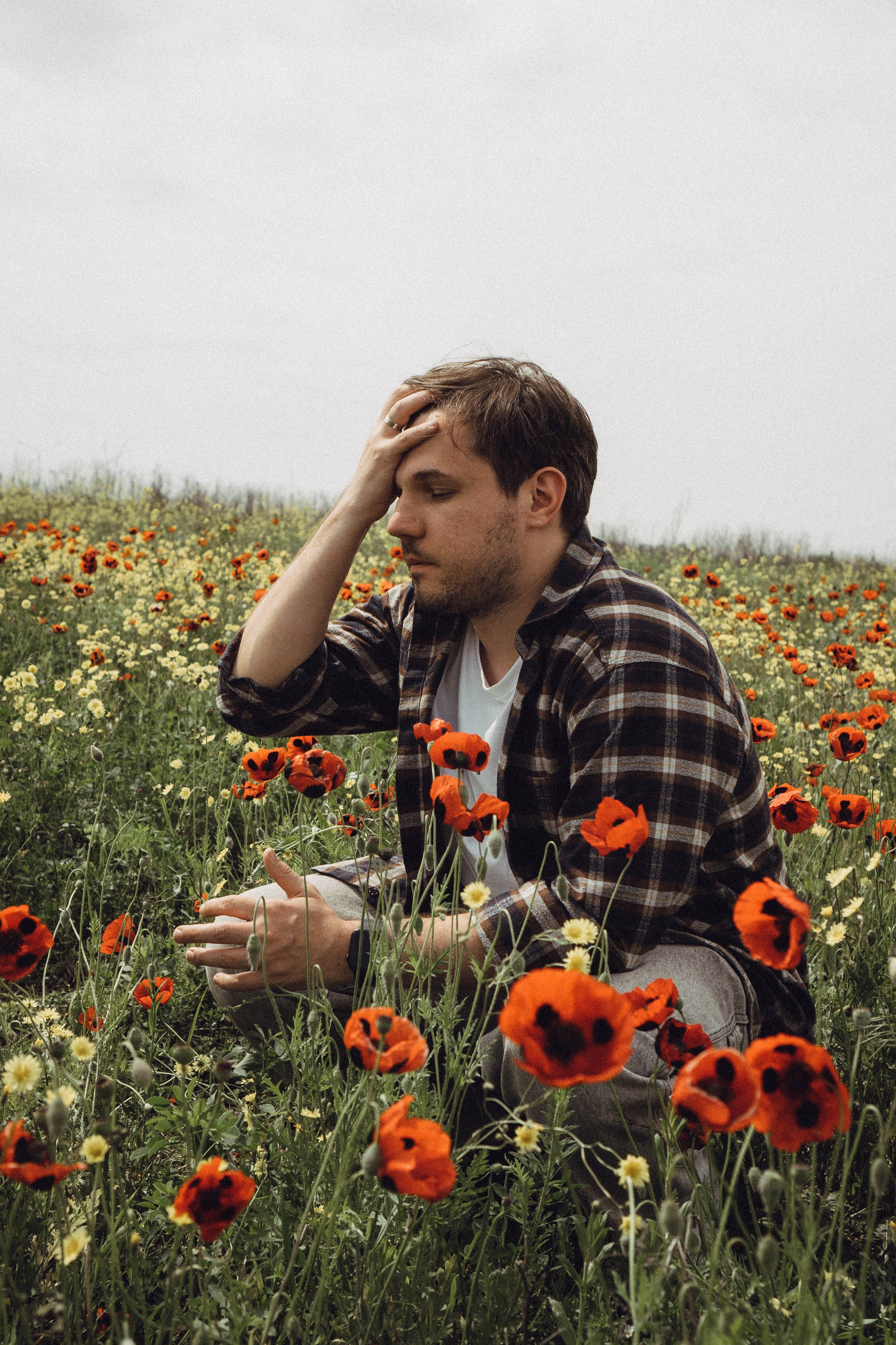Маки. Профессиональный фотограф, Санкт-Петербург — Виктория Богомолова