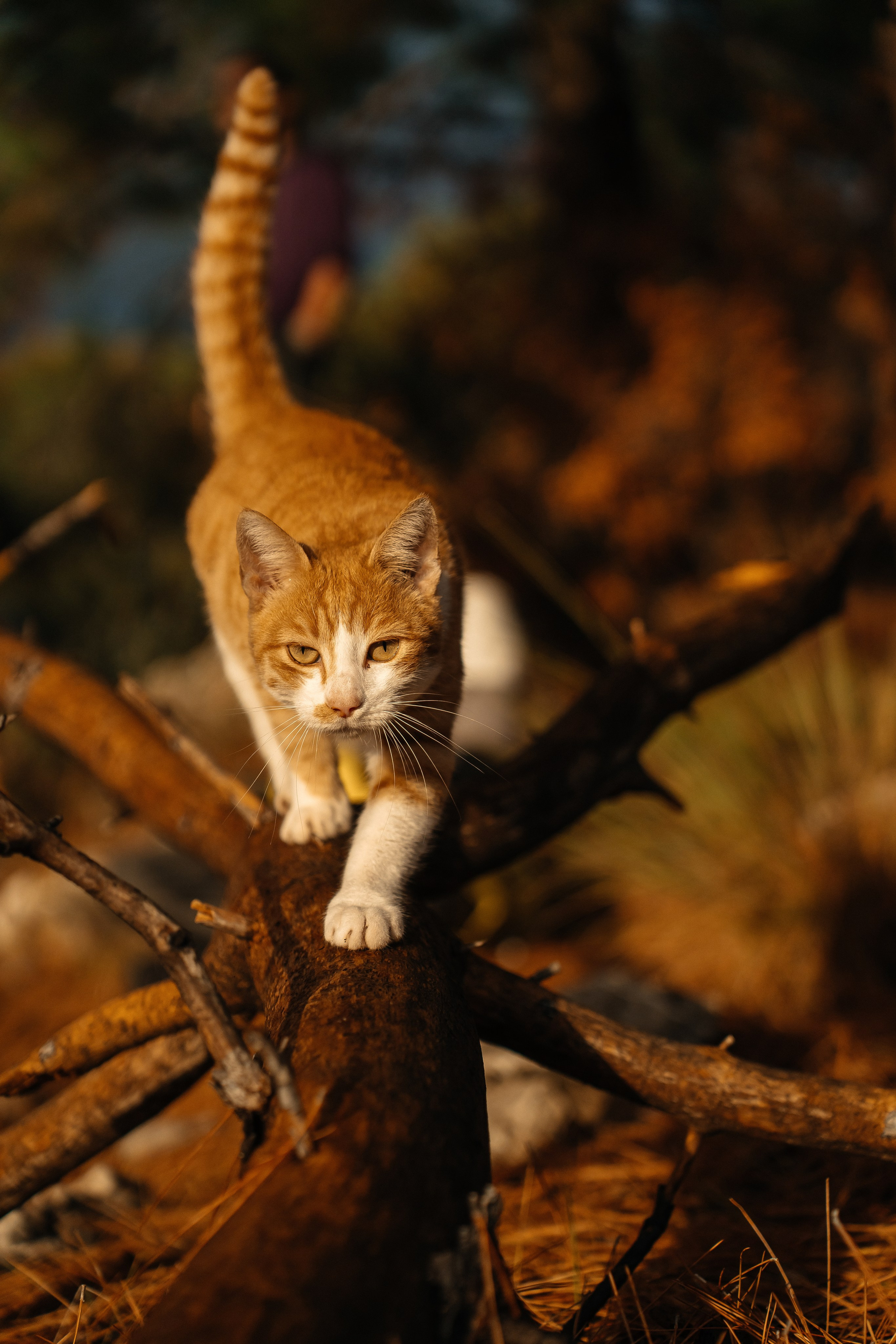 Ликийская тропа, Турция. Семейный фотограф в Санкт-Петербурге