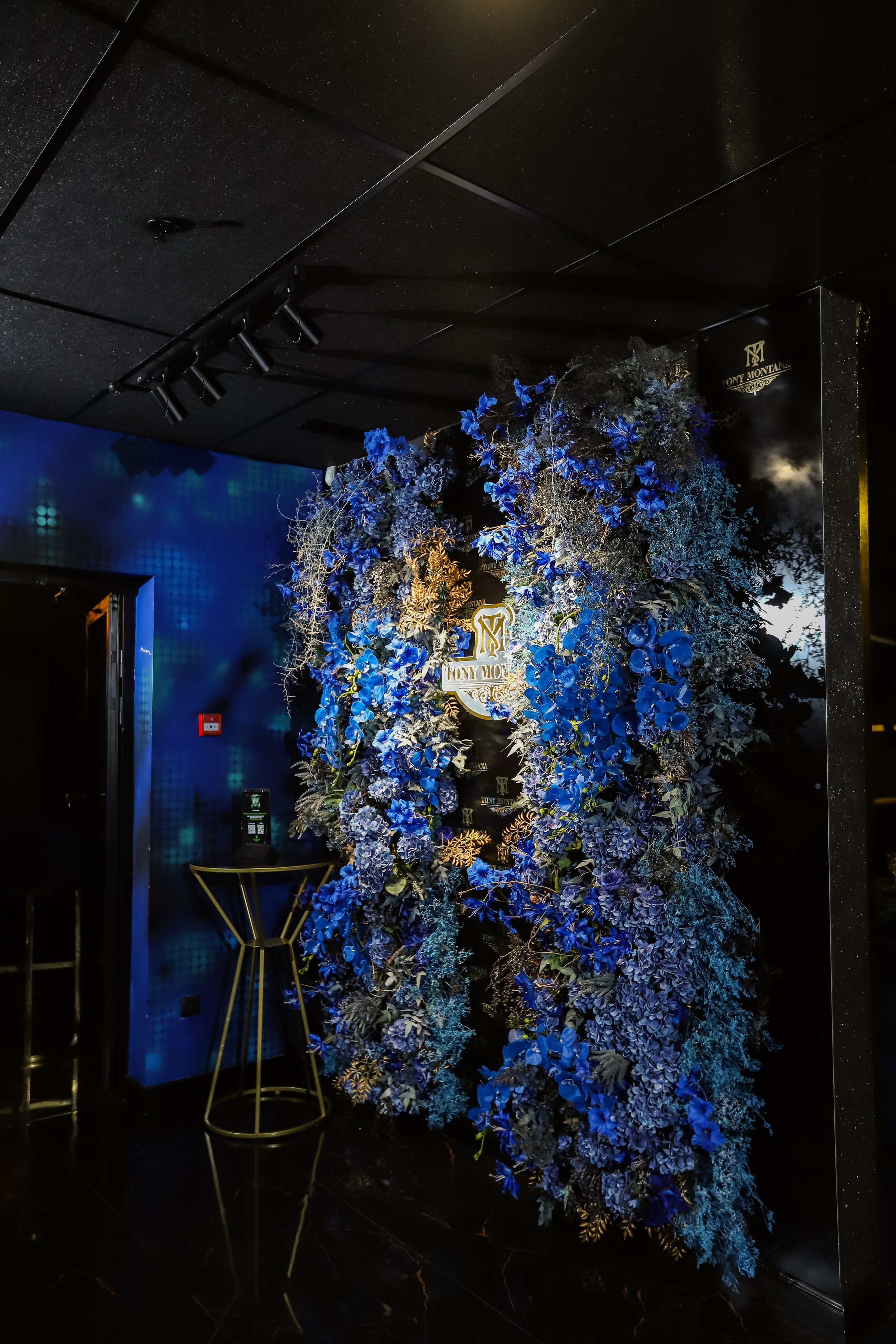 Tony Montana. Фотограф в Краснодаре Анна Светикова