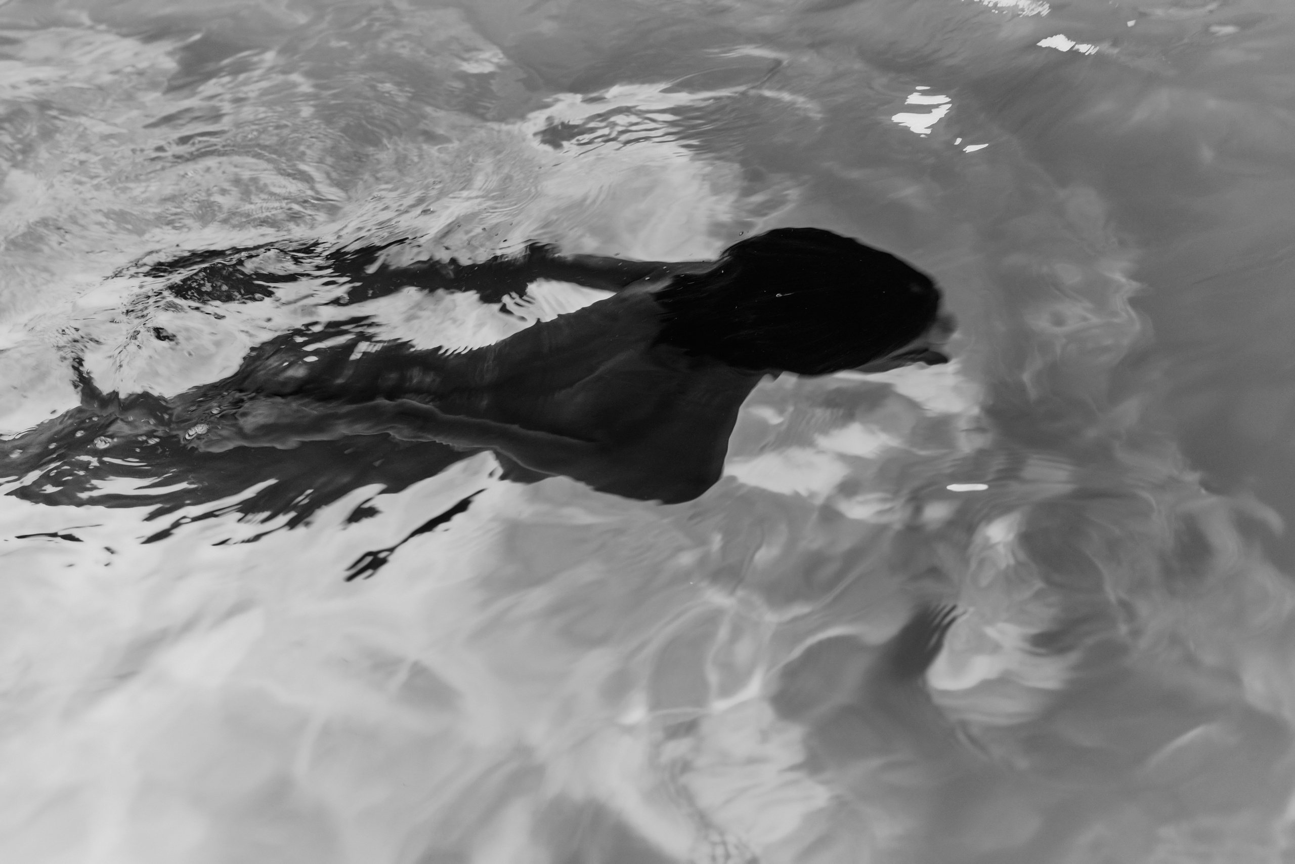 Mermaids. Z H U R A V L E V