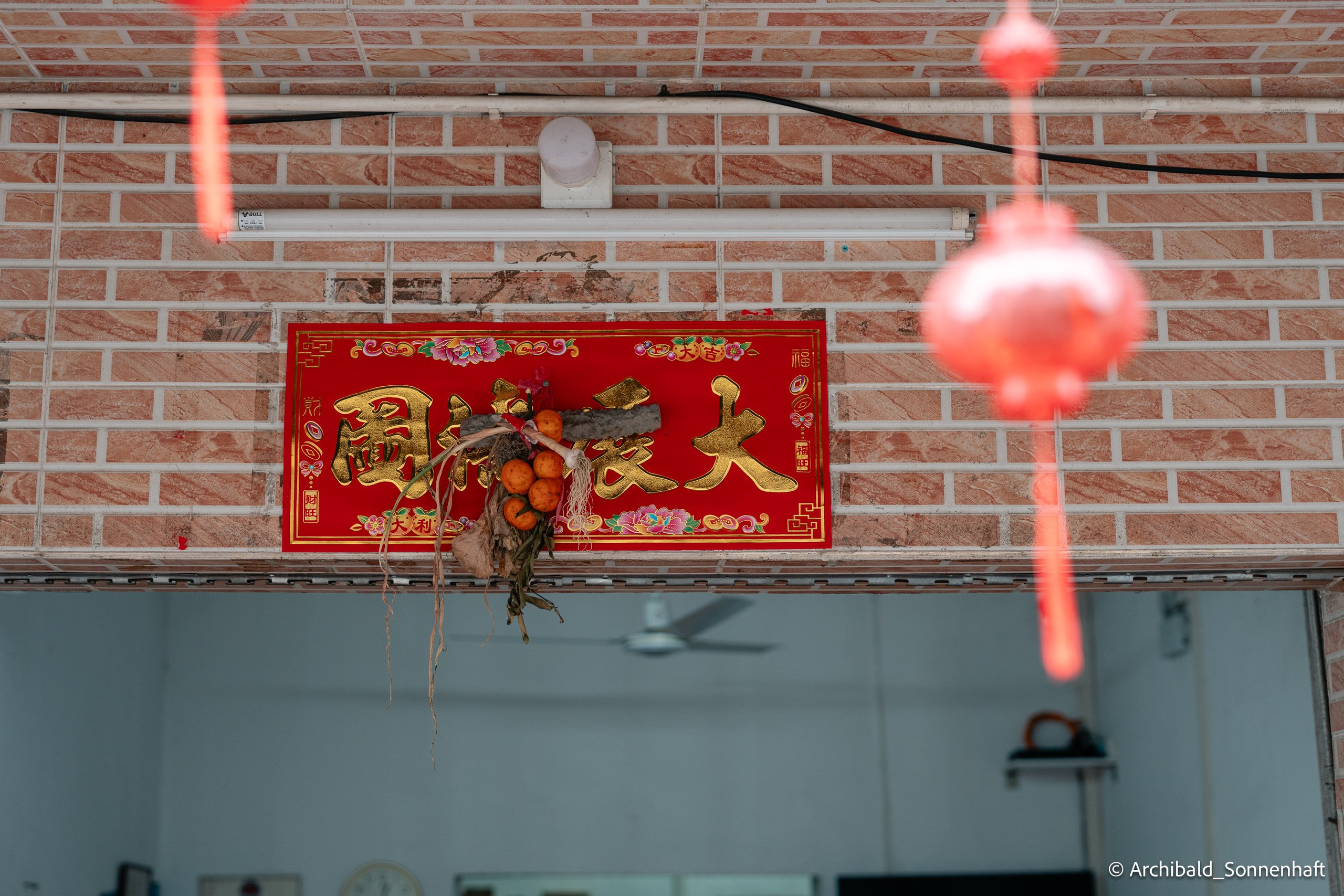 Diaolou in Kaiping. Photographer in Guangzhou, China. Archibald Sonnenhaft