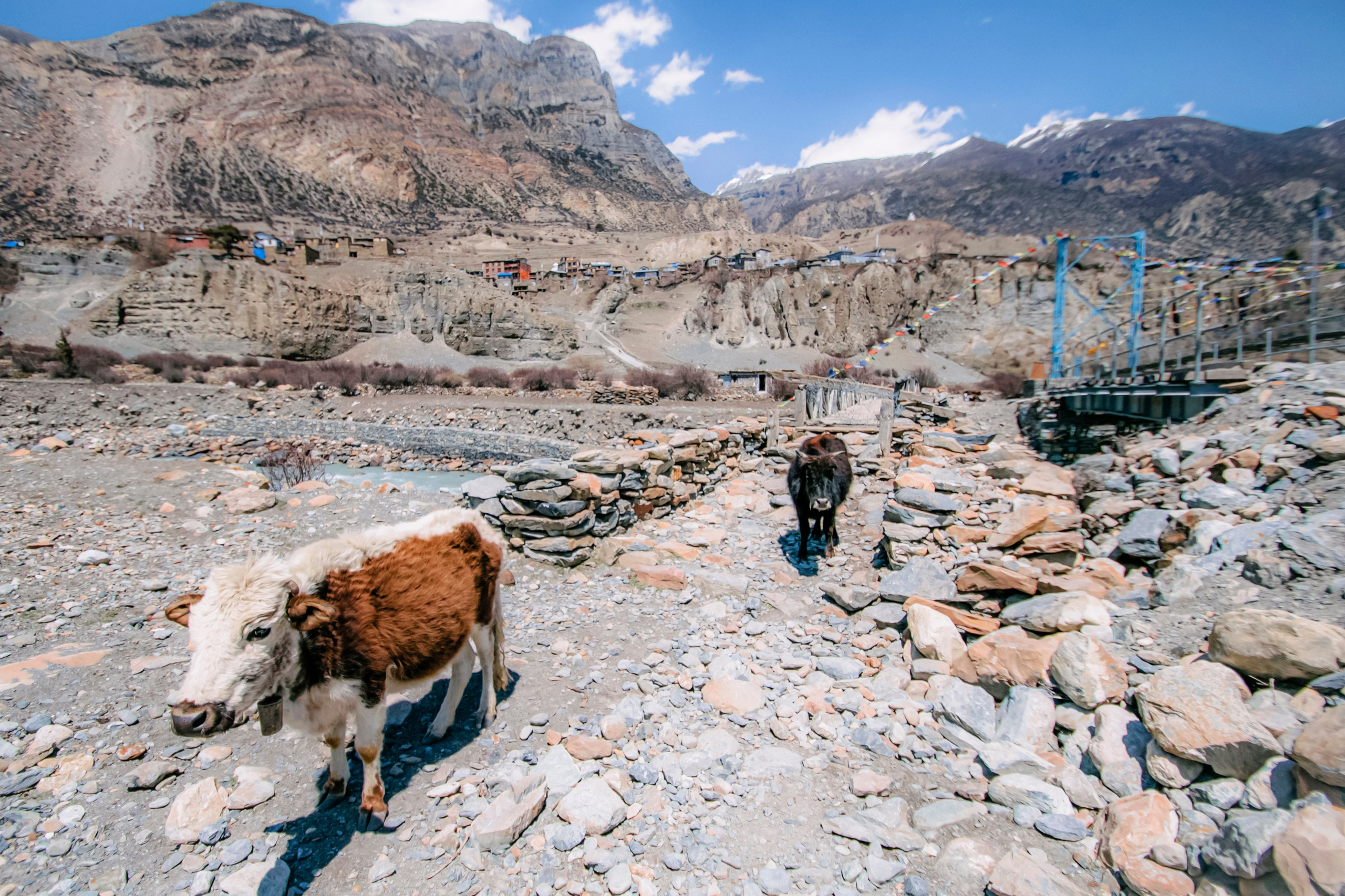 Annapurna trek. Iraogo