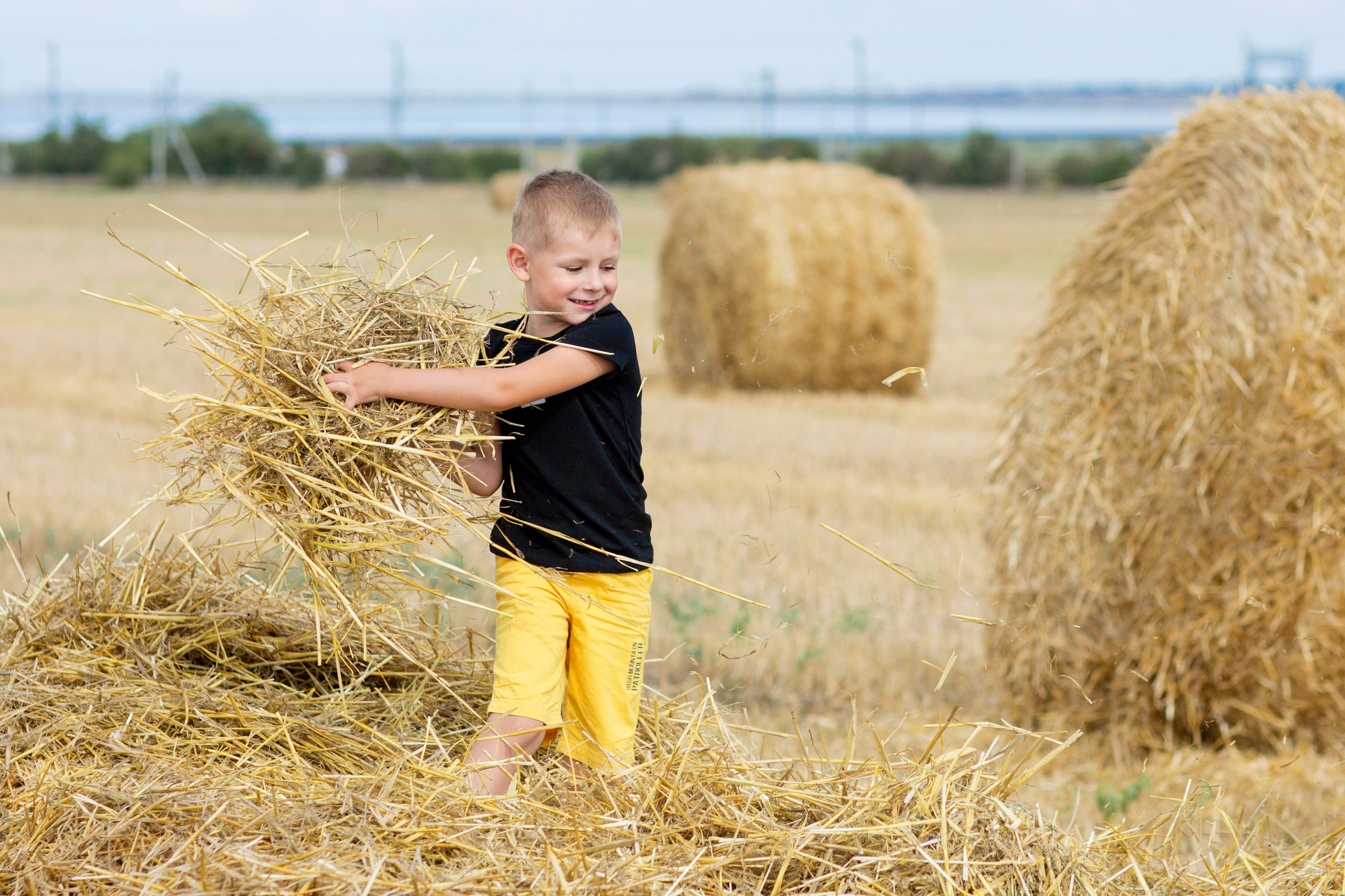 Сено, лето, мама, сын). Фотограф Анапа, Краснодарский Край, Крым