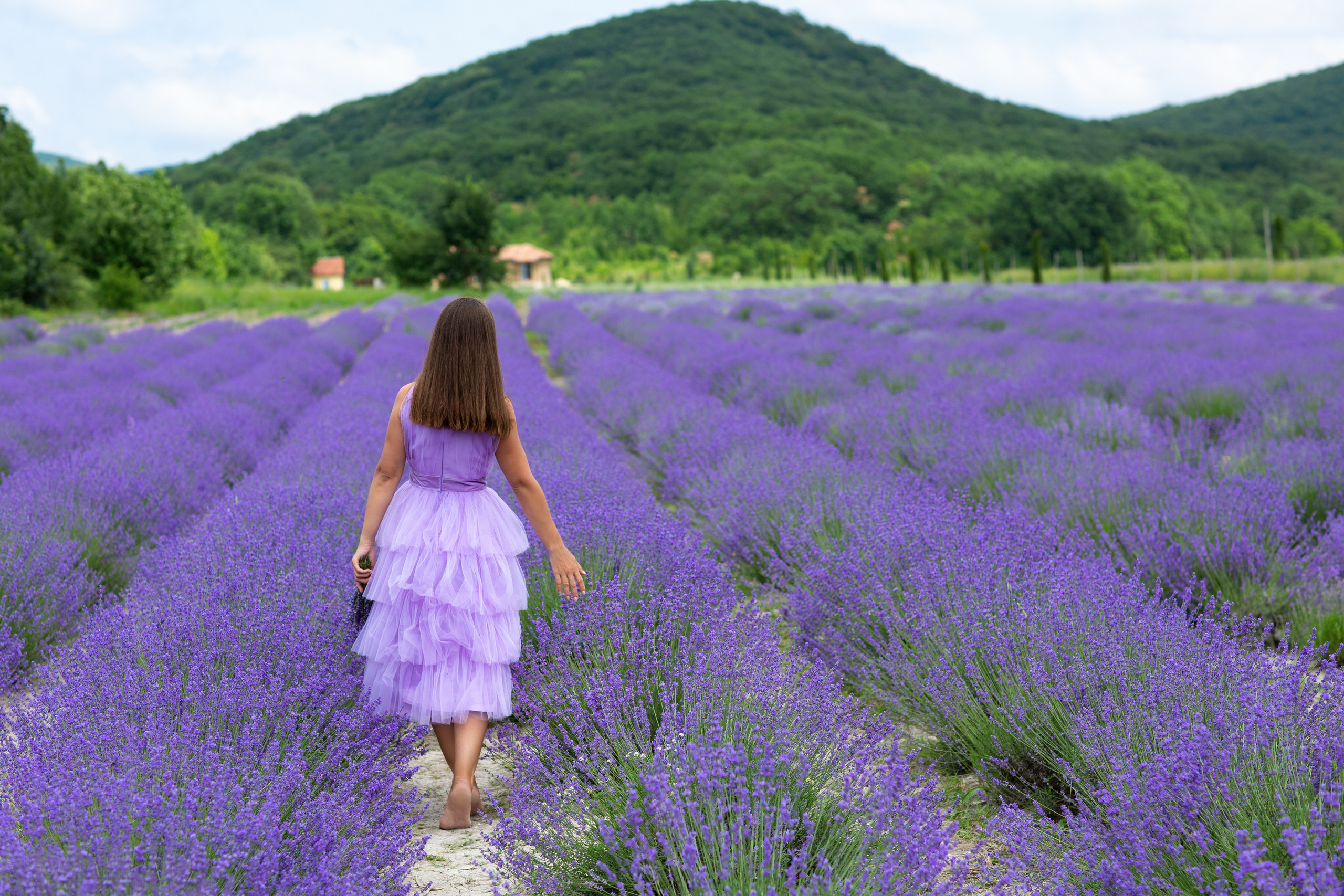 Лавандовая история Жанны и Софии. Фотограф Анапа, Краснодарский Край, Крым