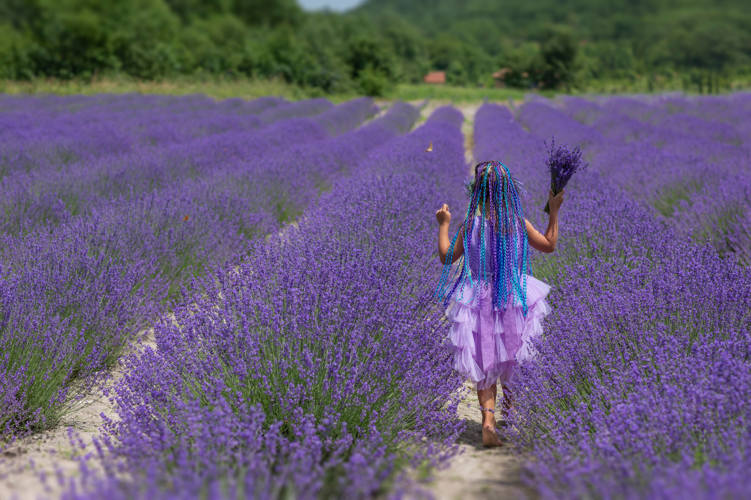 Лавандовая история Жанны и Софии. Фотограф Анапа, Краснодарский Край, Крым