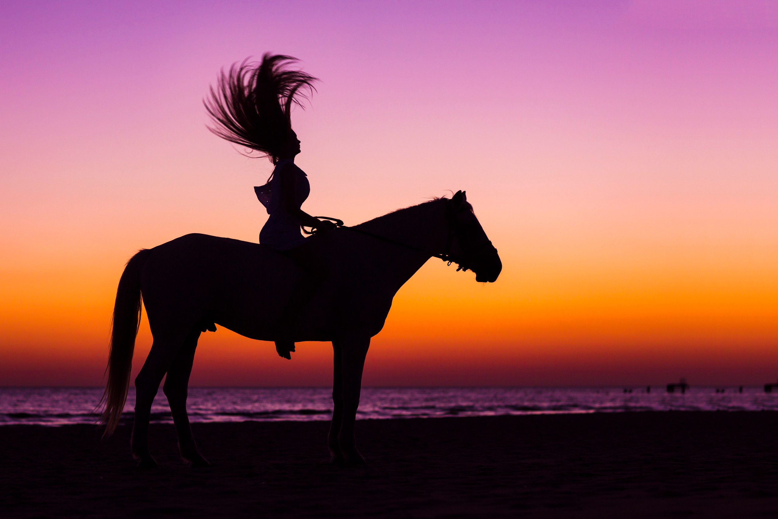 Локация " Анапа. Море с лошадьми"