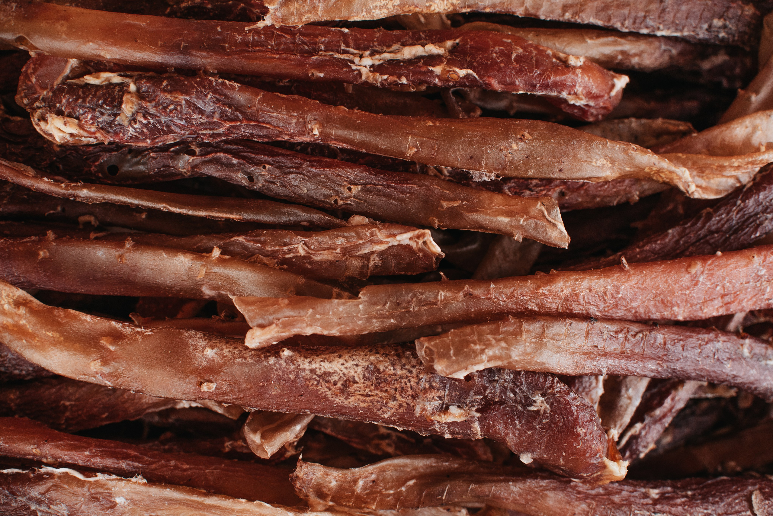 Dog Bone лакомства. Фотограф-анималист Валерия, Москва, Мытищи