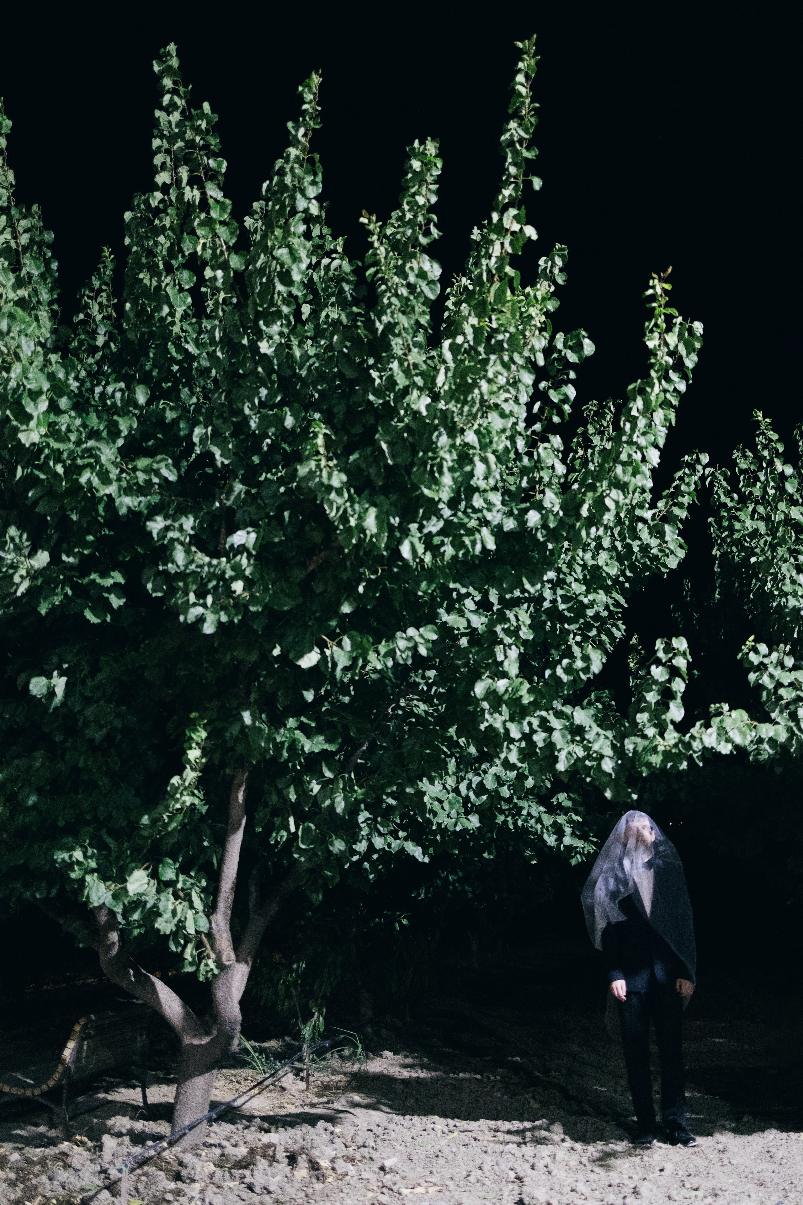 Вохчуйн, это Армения!. Свадебный фотограф. Краснодар, Сочи, Новороссийск. Вадим Мерье