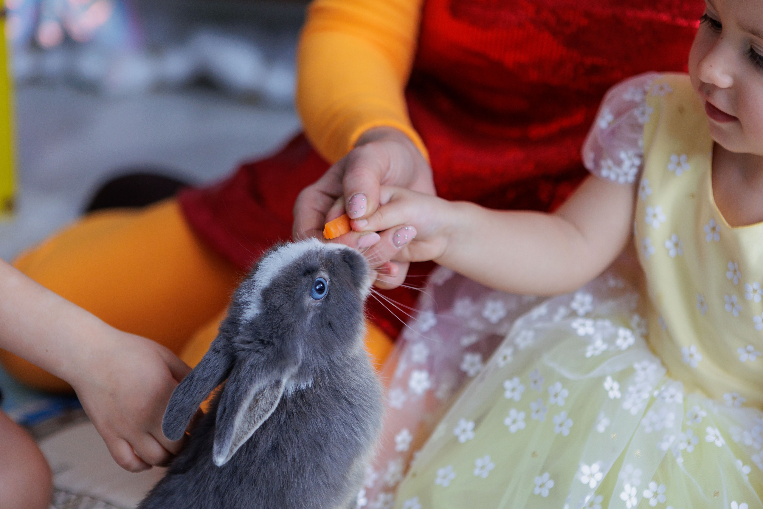 День рождения Софии. Семейный и детский фотограф в Москве Юлия