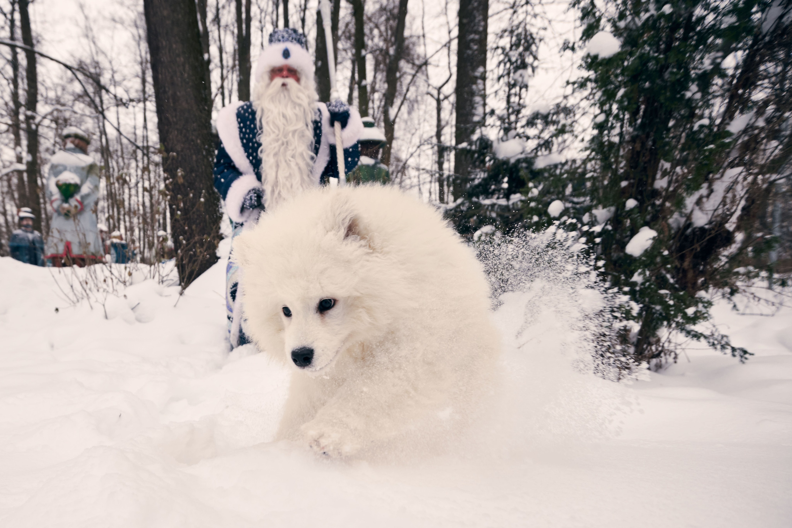 Дед Мороз с Платоном. Никита Хохловский фото и видео продакшн