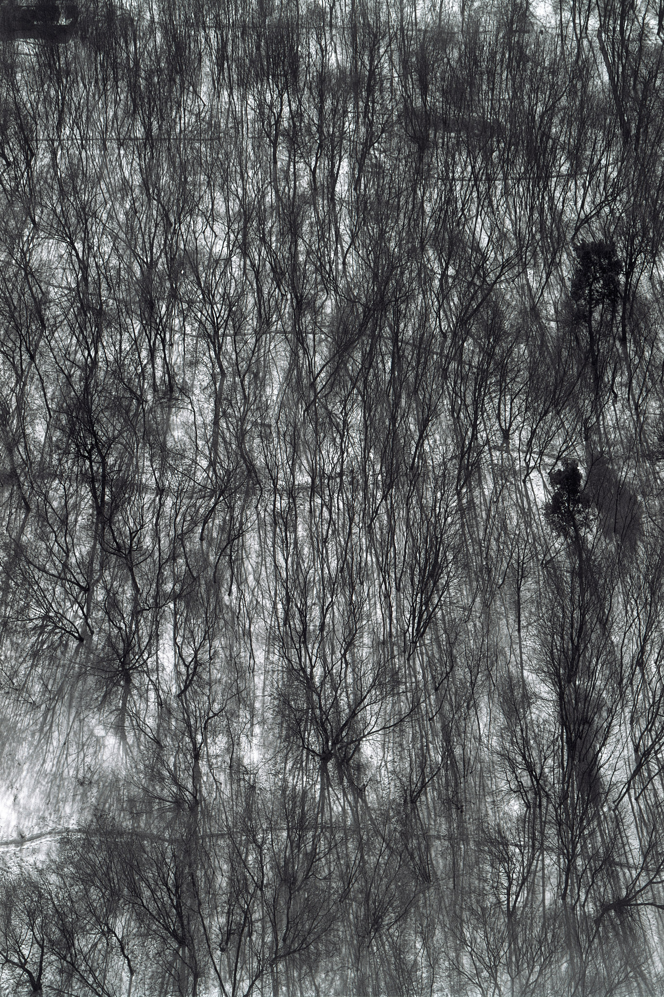 Оттенки серого. Семоха Валерий. Фотограф