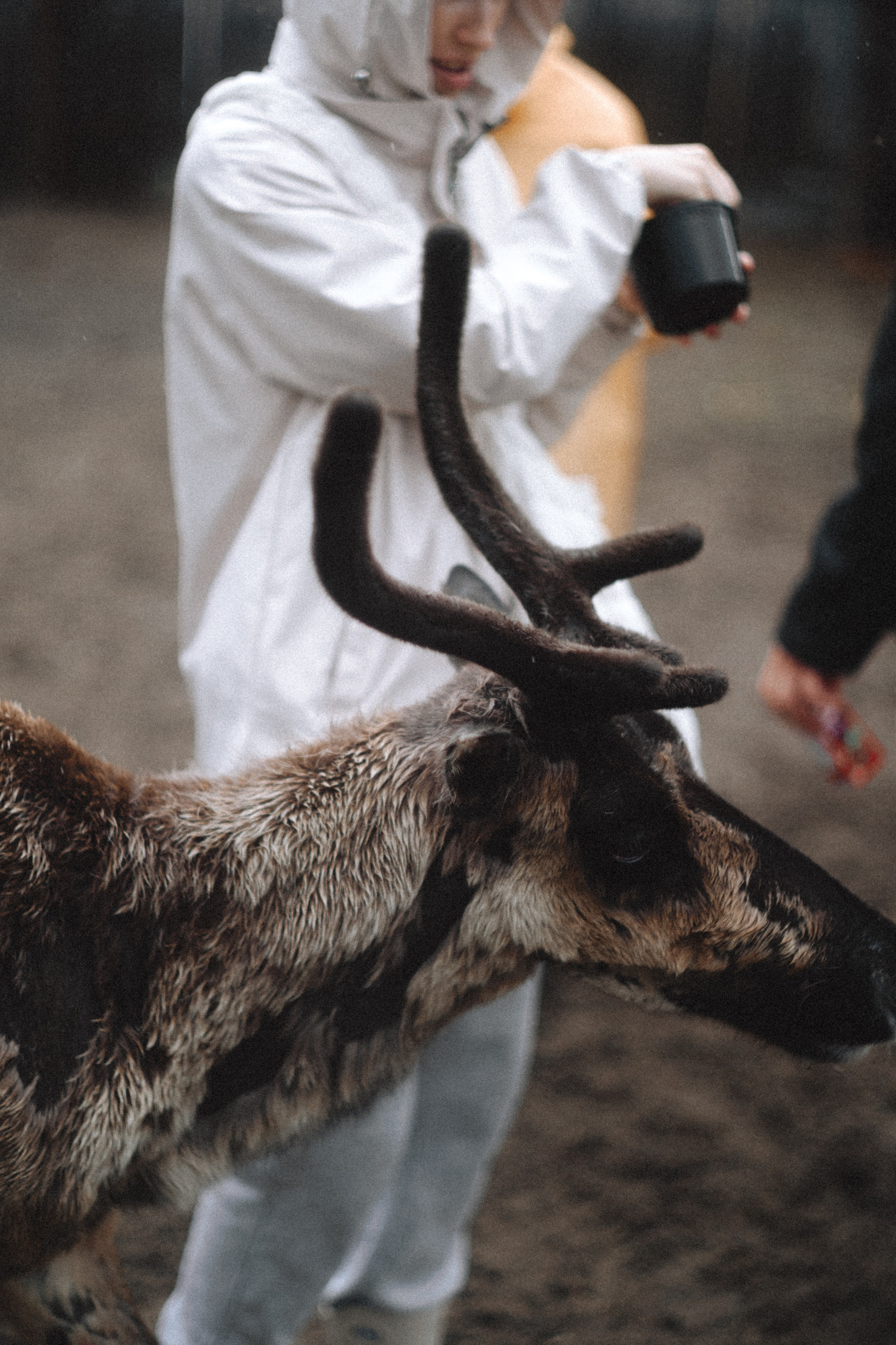 Териберка, Мурманск. Фотосъёмка для компании по организации туров в коллаборации с Яндекс 360