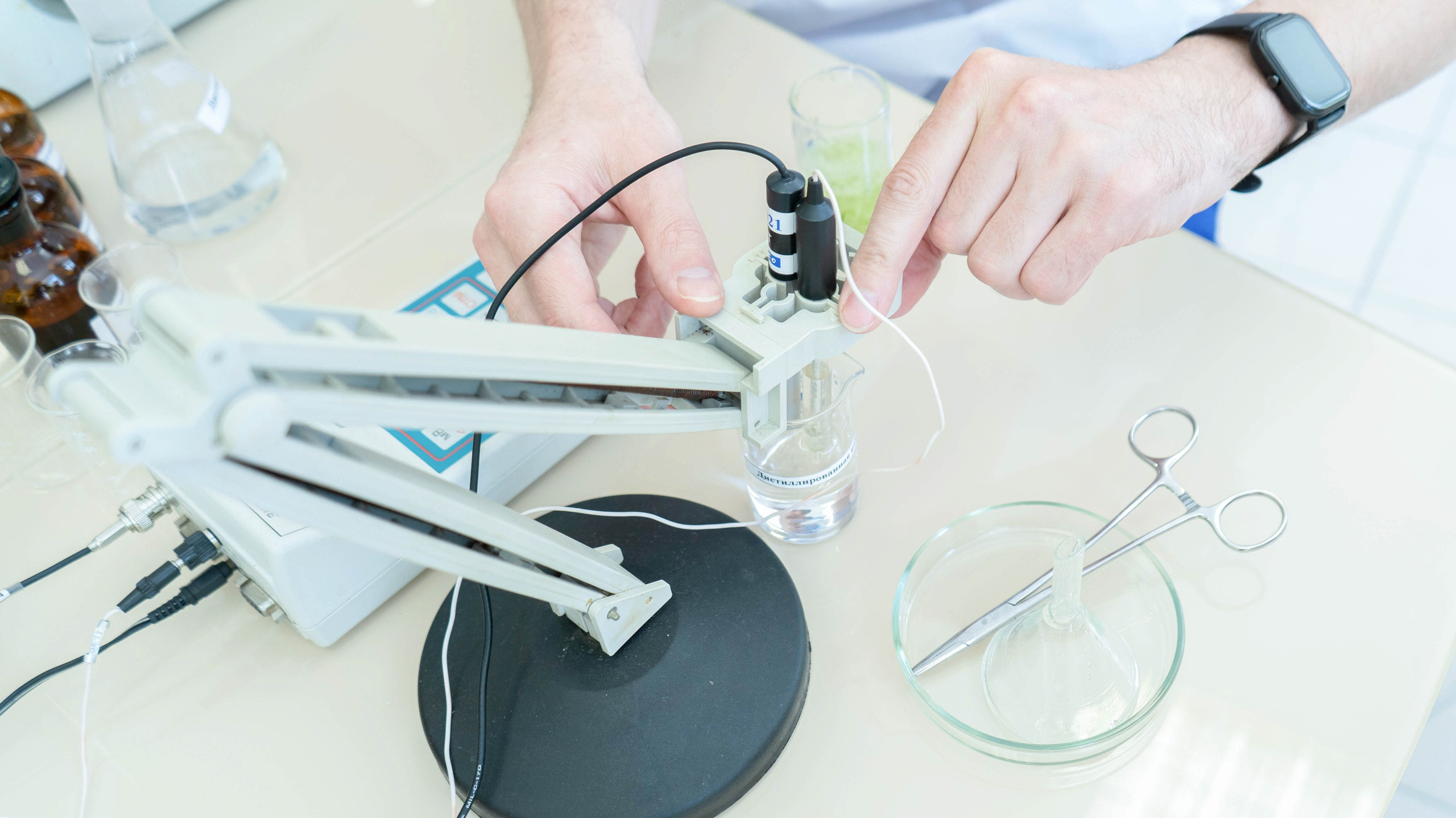 Московские мастера «Ветеринары». Фотограф, оператор-монтажер, продюсер медиа проектов в Москве