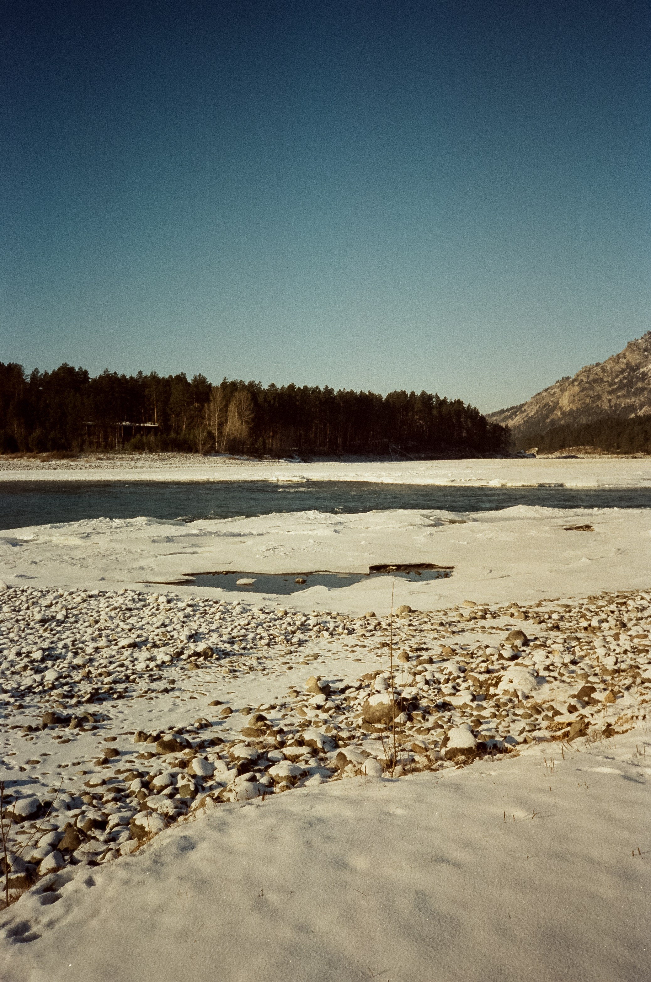 Утро в Манжероке и кафе-автобус Coffee Bus на Чемальском тракте. Фотограф-документалист Мария Осокина