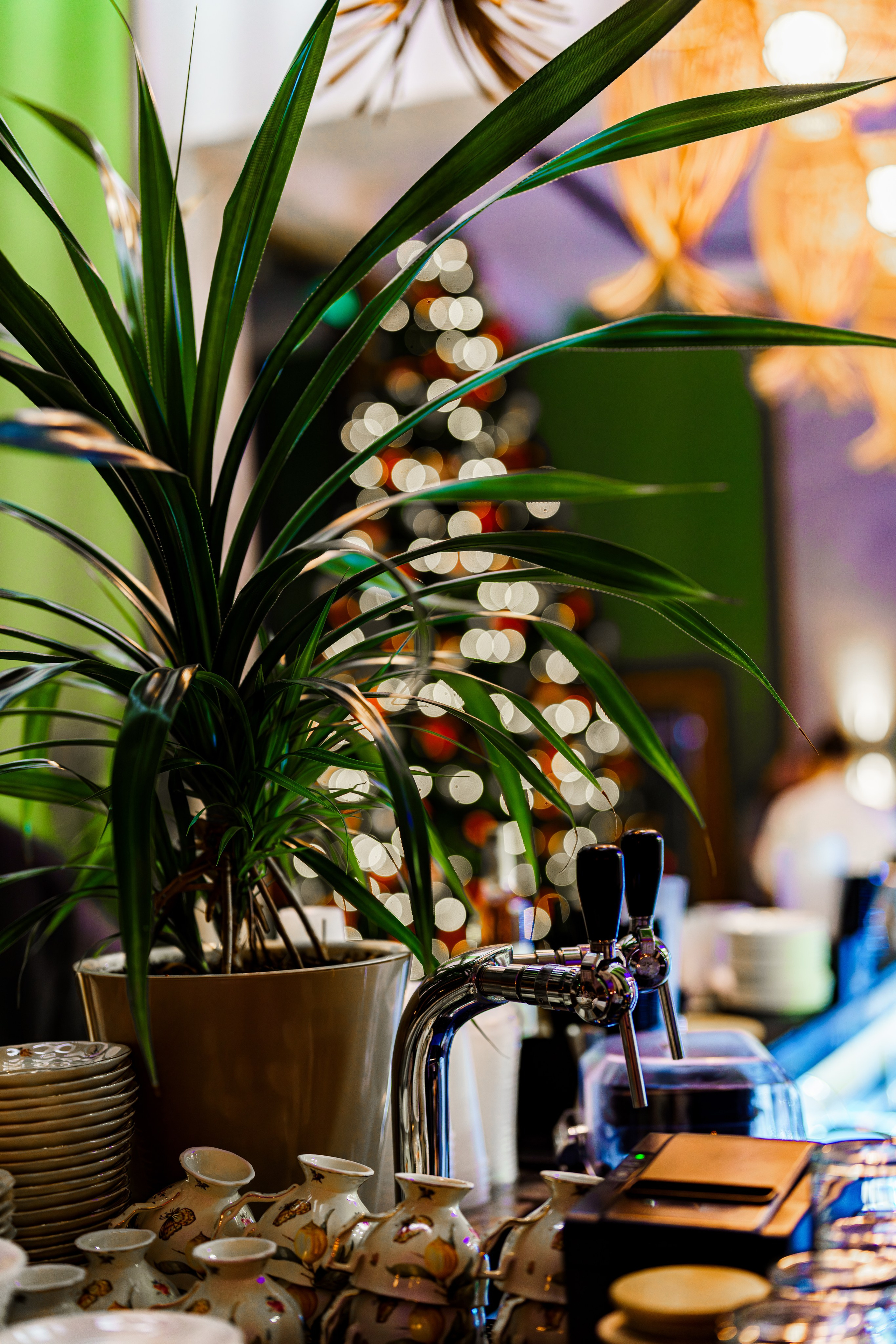 Новогодняя ночь в ресторане Сад. Фотограф видеограф Геннадий Янбаев в Сочи, Краснодаре