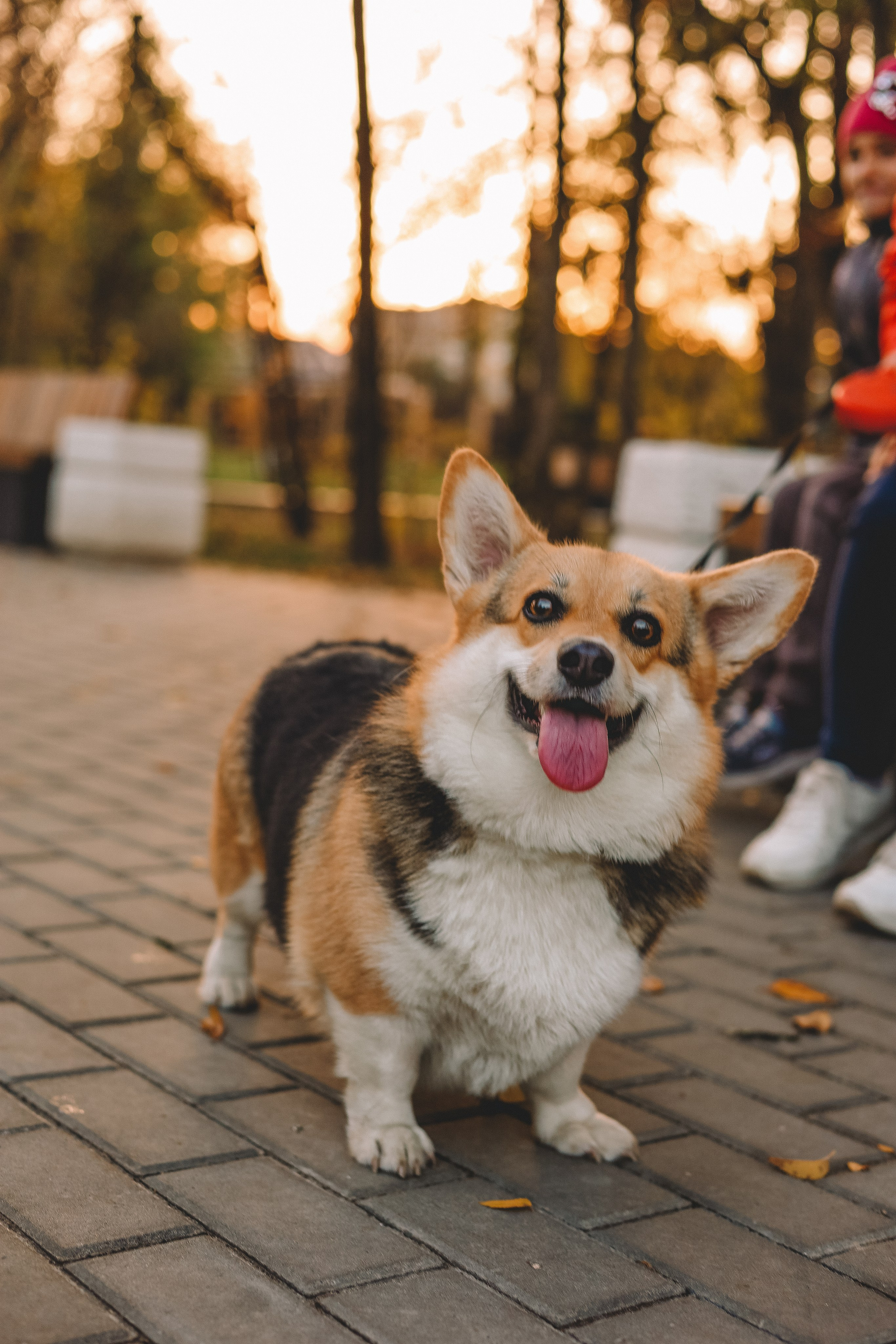 Фотопрогулки. Слава Лерина. Фотограф. Ростов-на-Дону