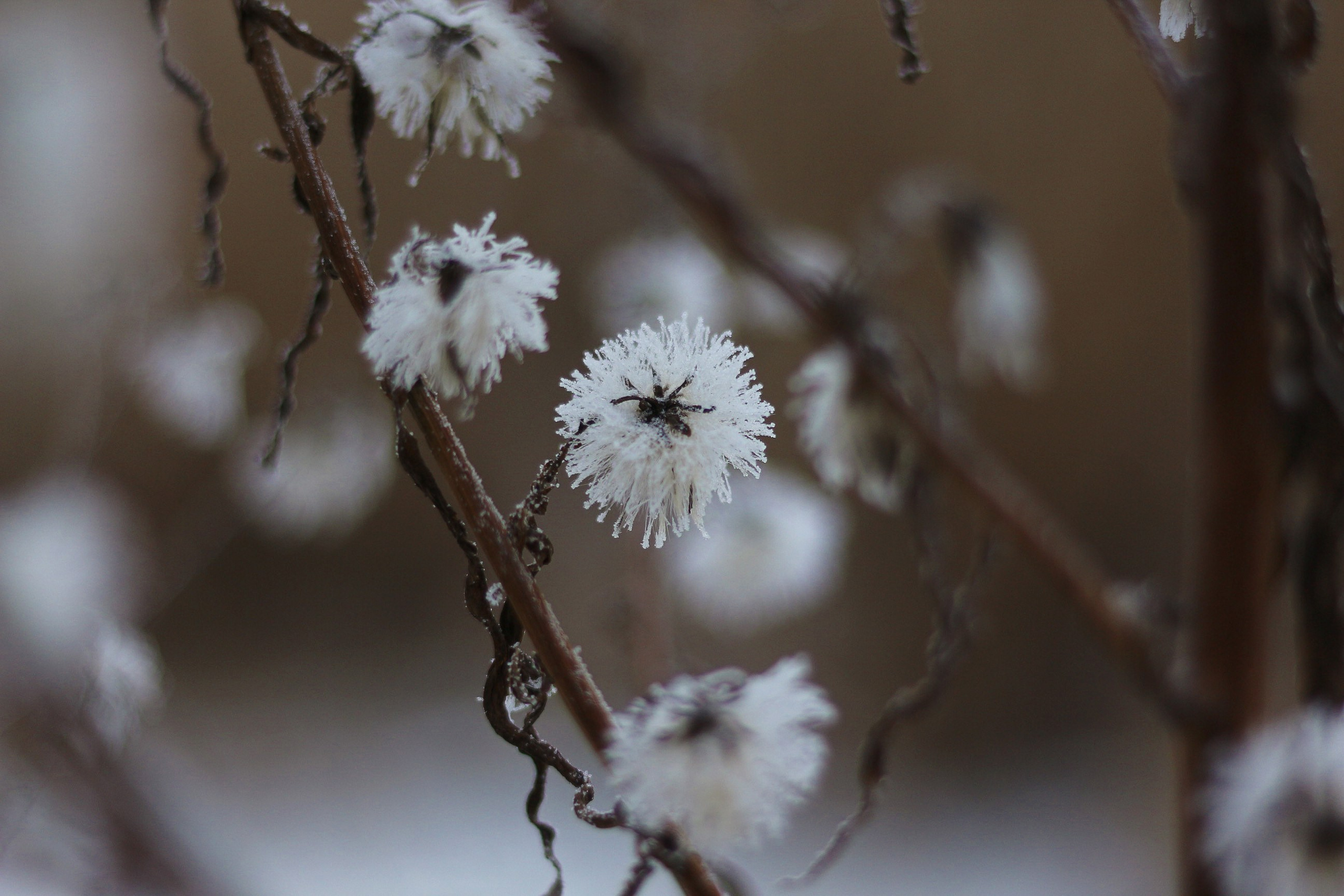Пейзажи. Фотограф из Донецка Александр Турко