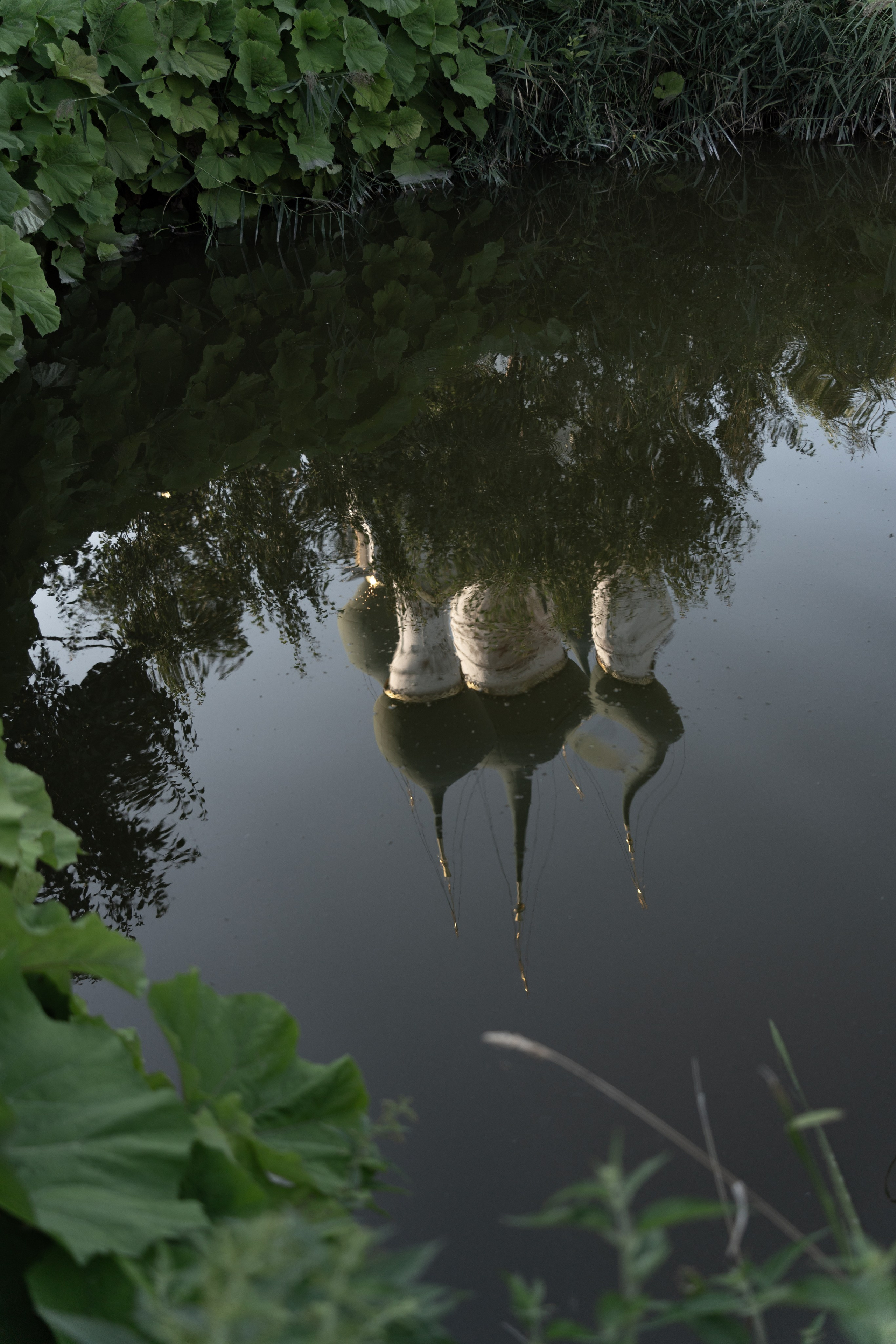 20250729-30 Ростов. Дмитрий Ремизов. Фотография, как хобби