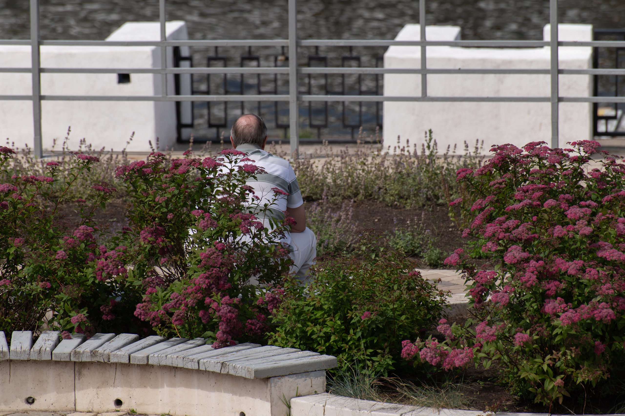 20230612-16 Нижний Новгород. Дмитрий Ремизов. Фотография, как хобби