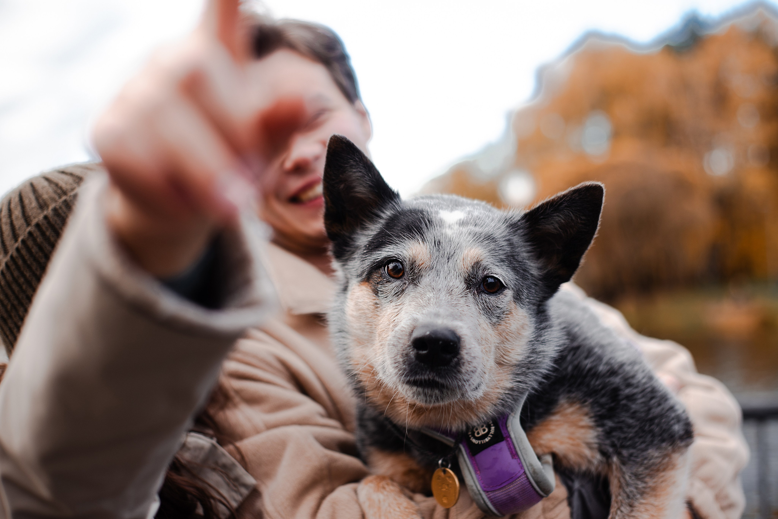 Юля, Антон и Лу. Фотограф-анималист Мария Баркевич | Москва
