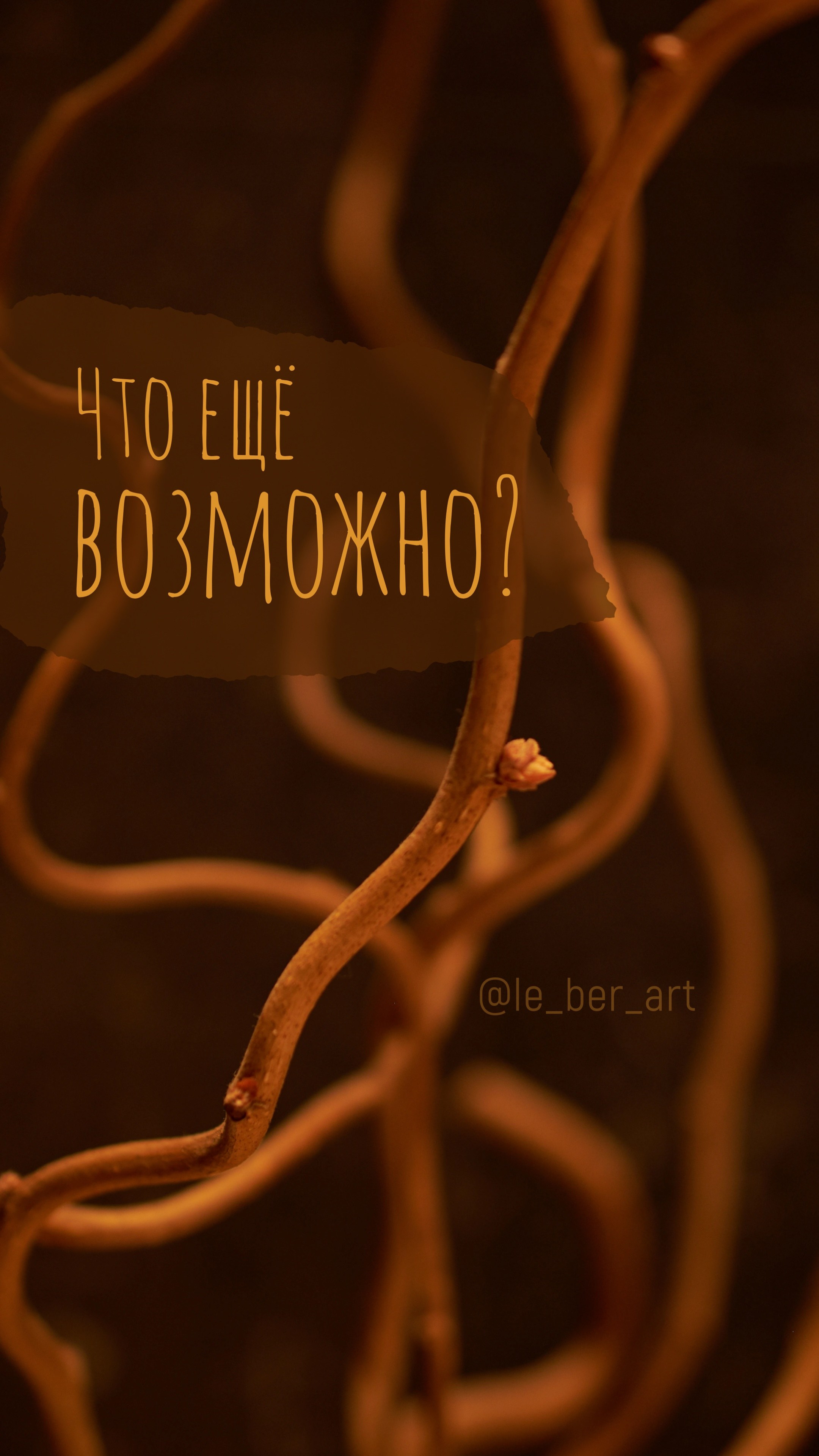 Заставки на телефон. Елена Берсенева, фотограф