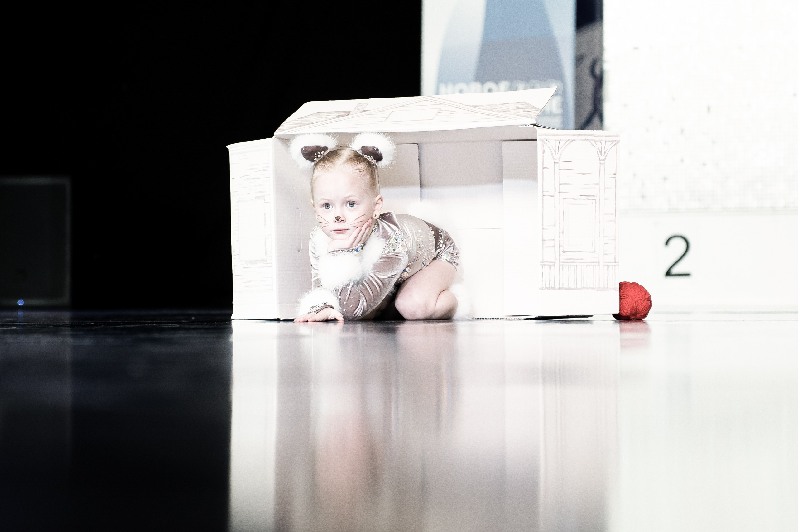 Портфолио. Фото