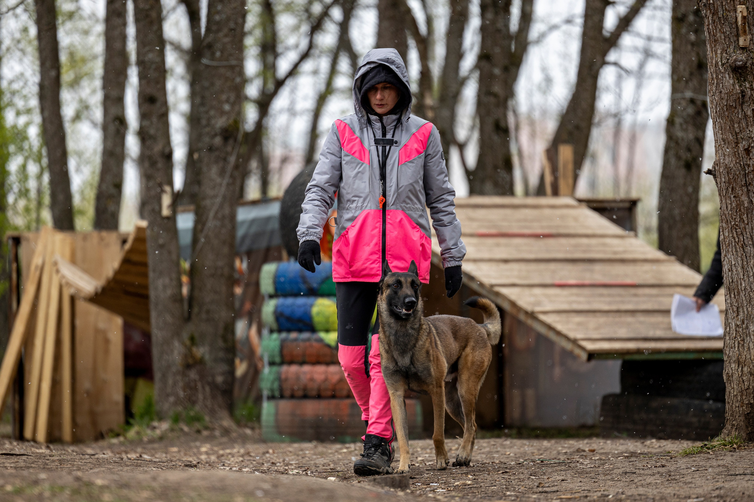 Квалификационные состязания по мондьорингу г. Вологда 11.05.24. Фотограф-анималист Анна Маринич