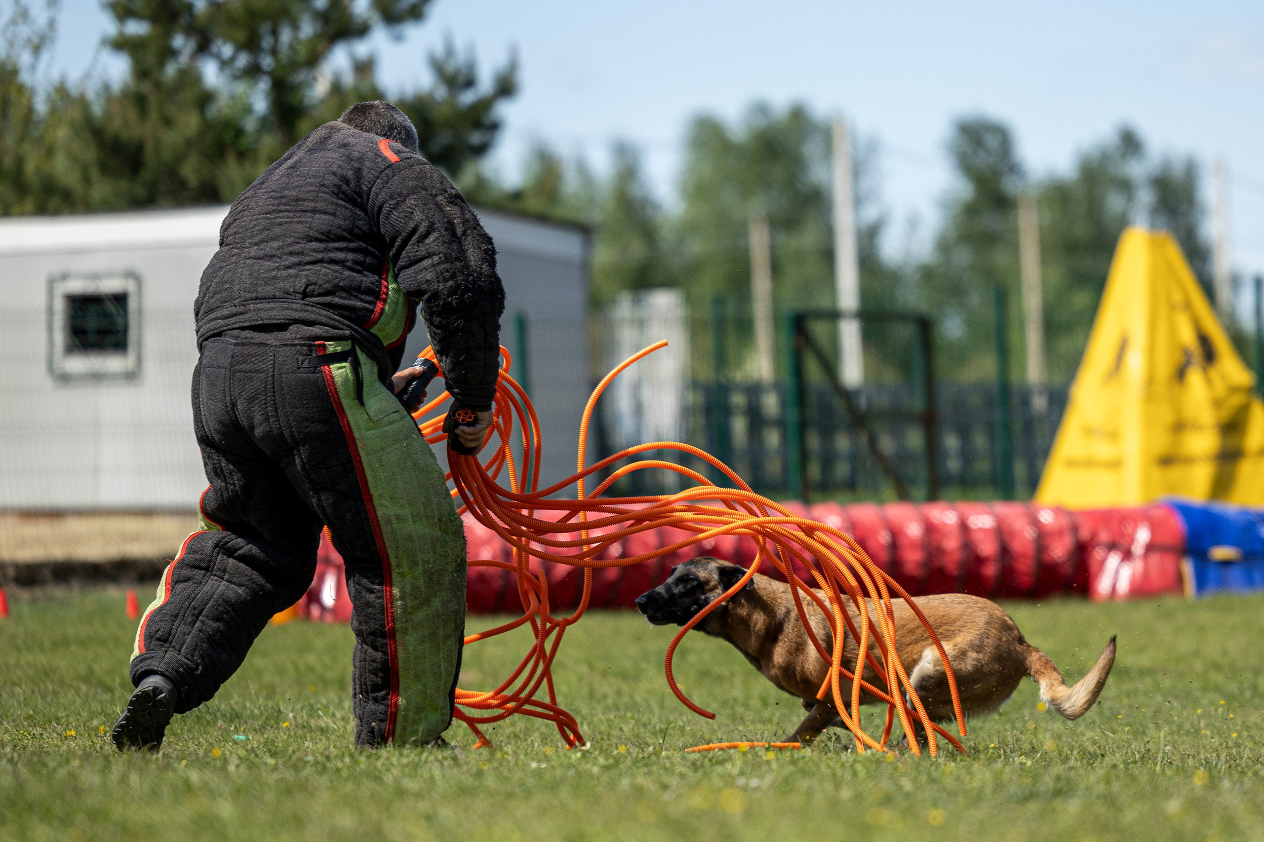 Испытания по мондьорингу в Нижнем Новгороде. Фотограф-анималист Анна Маринич