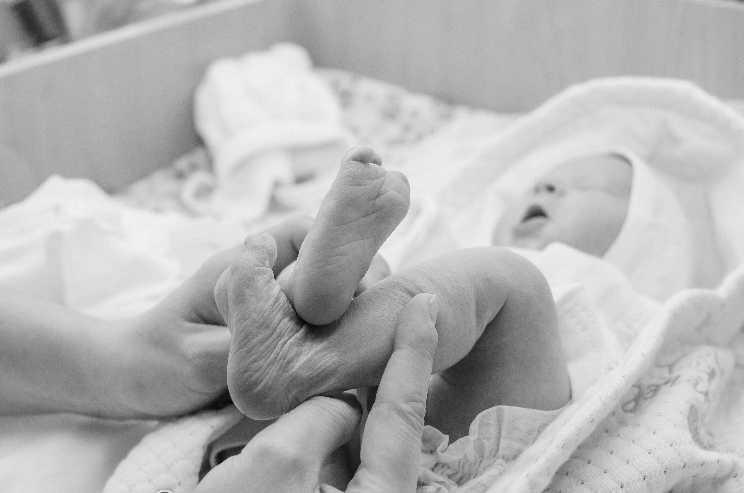 Карина. Первое знакомство