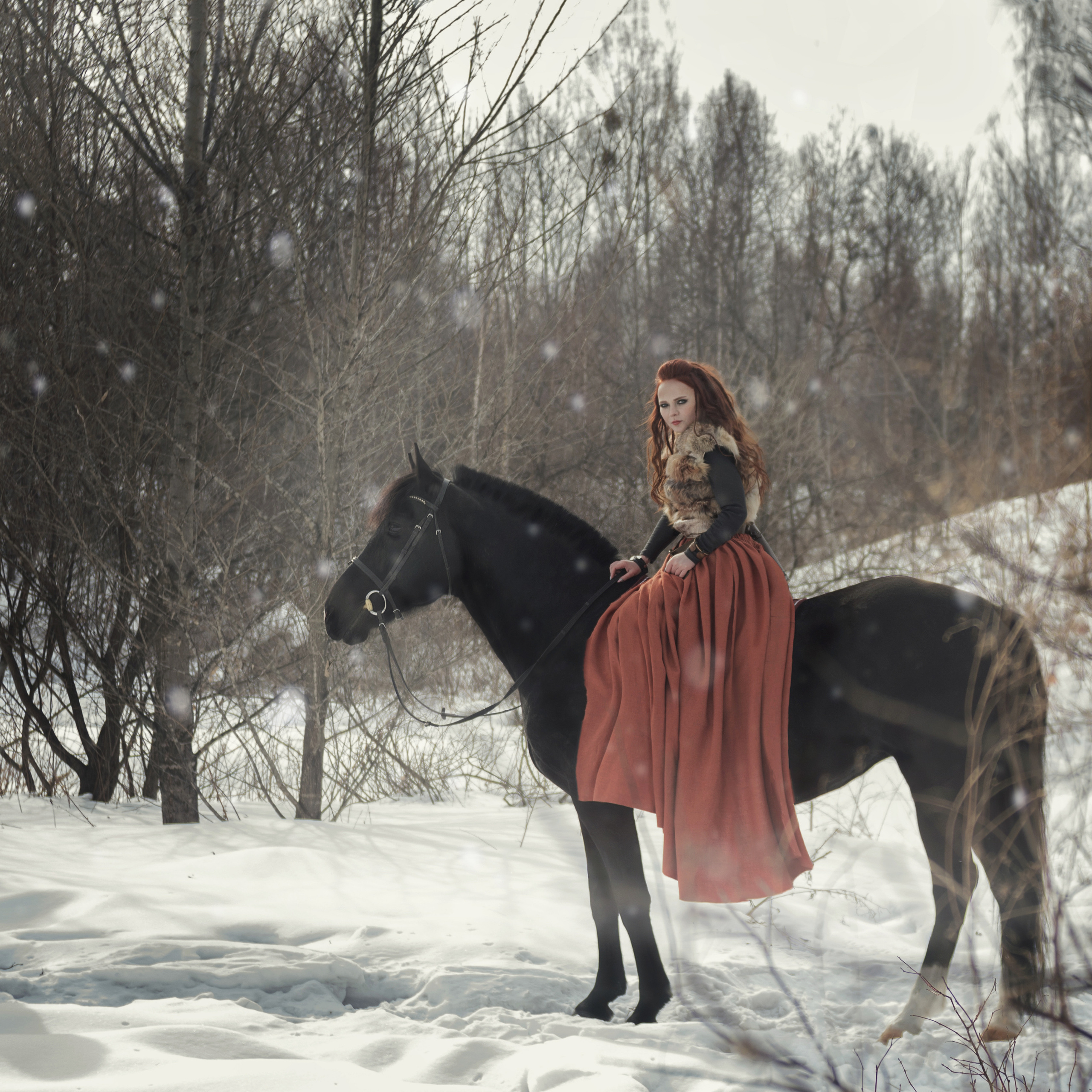 Девушка на черной лошади в зимнем лесу, вокруг белый снег