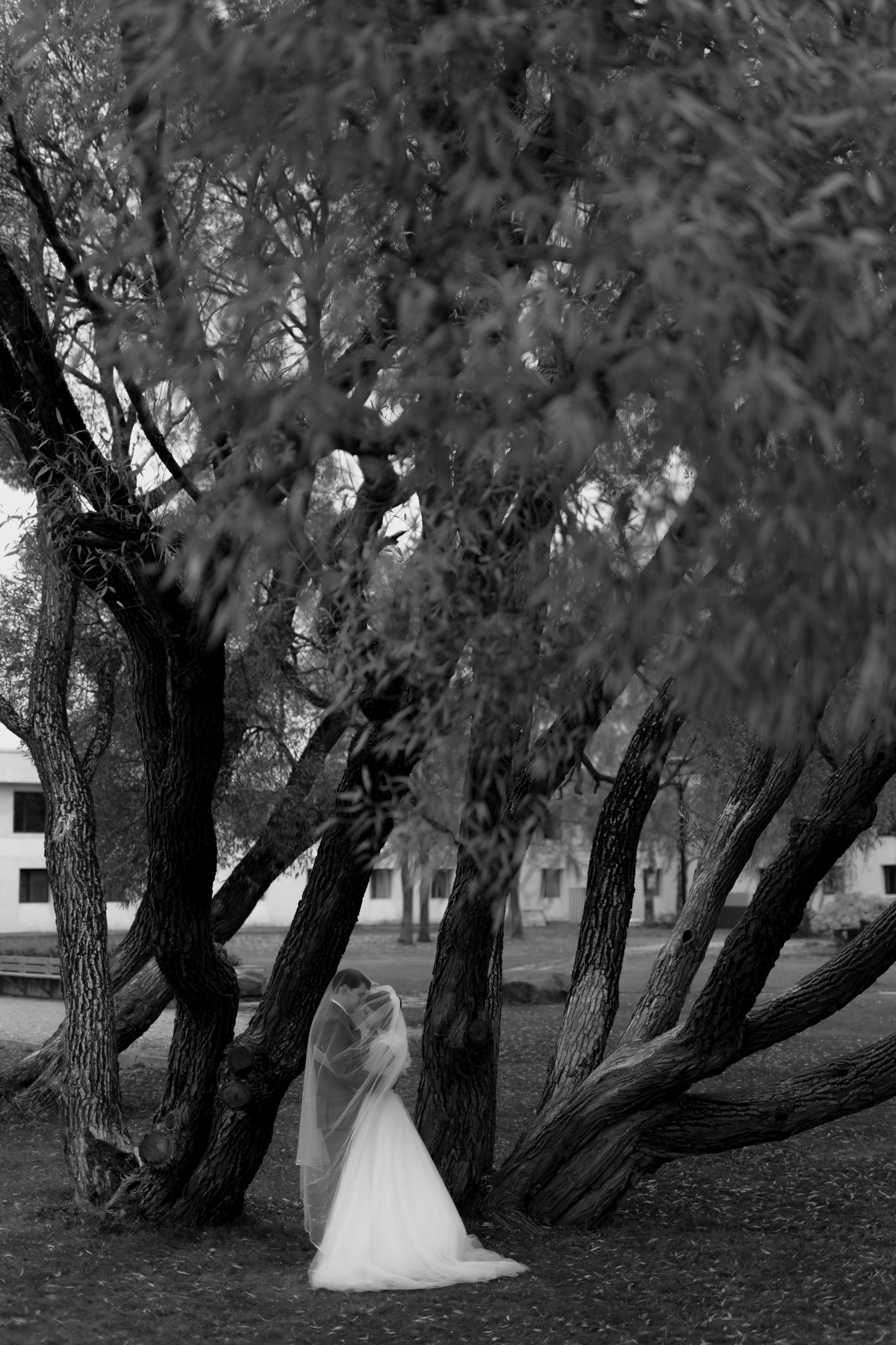 Свадьба Даниила и Виктории. Фотограф Кольчугино/Владимир/Москва Елизавета Иода