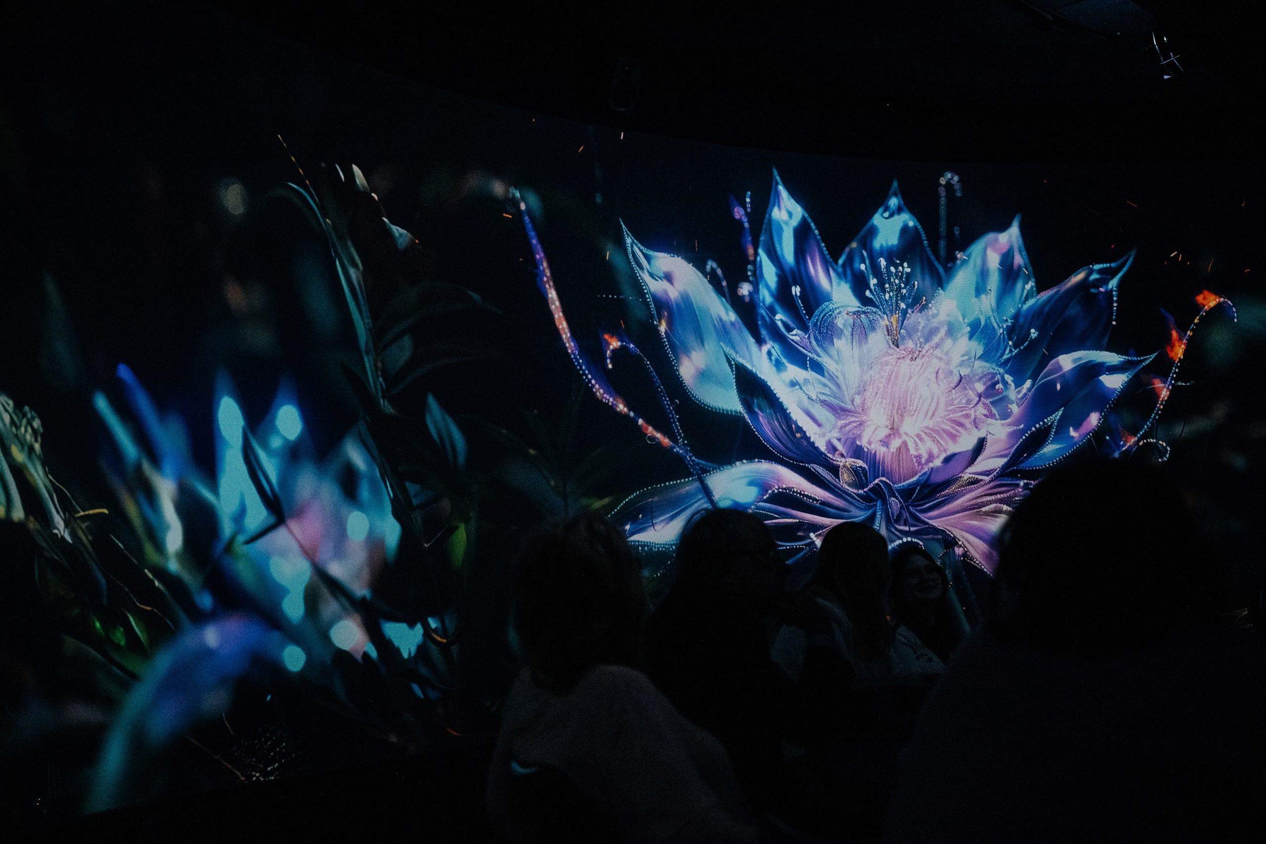 Birthday NDA. Wedding photographer in Moscow and around the world Andrey Medvednikov