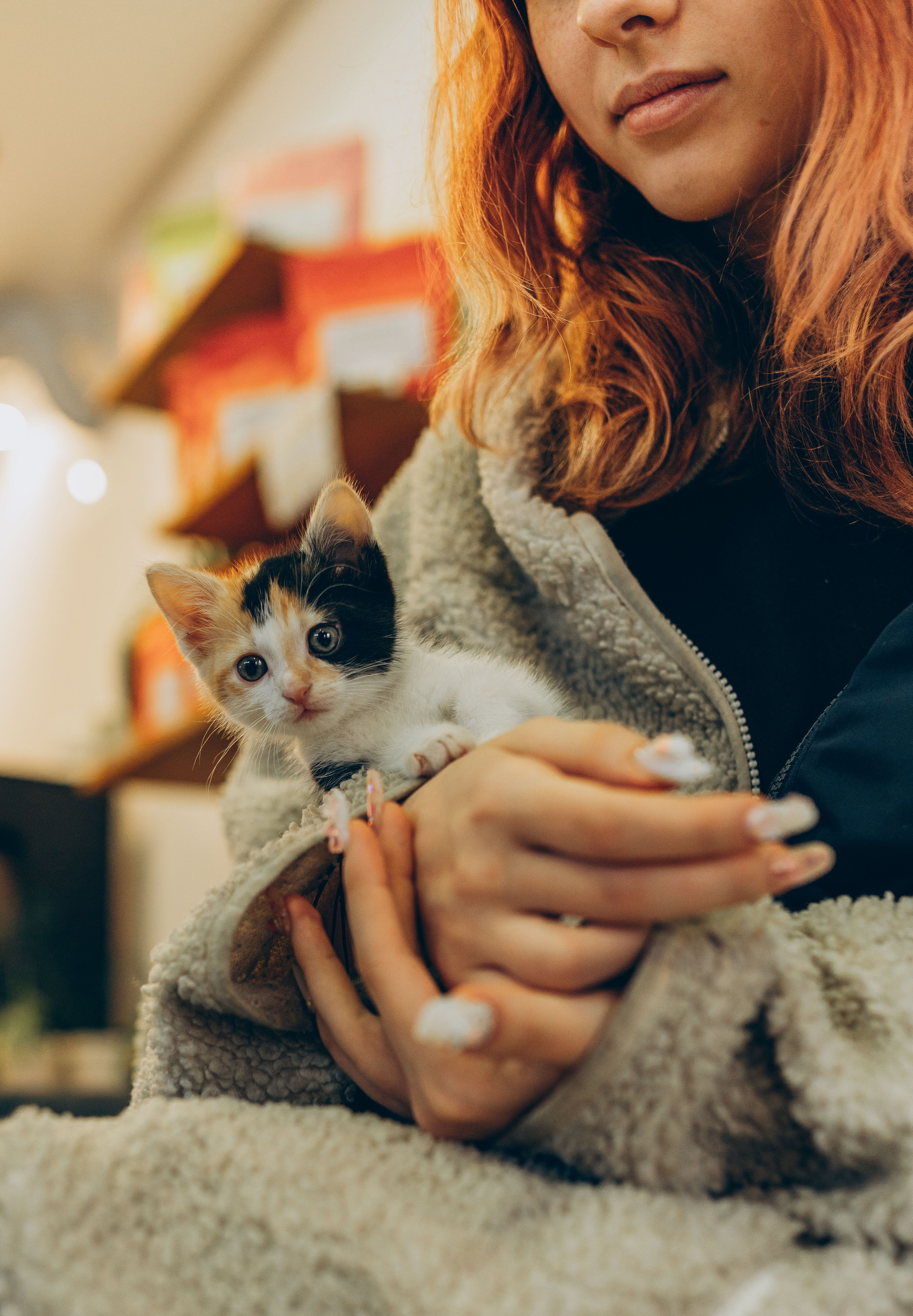 Соник. Фотограф анималист в Спб недорого Олеся Майорова