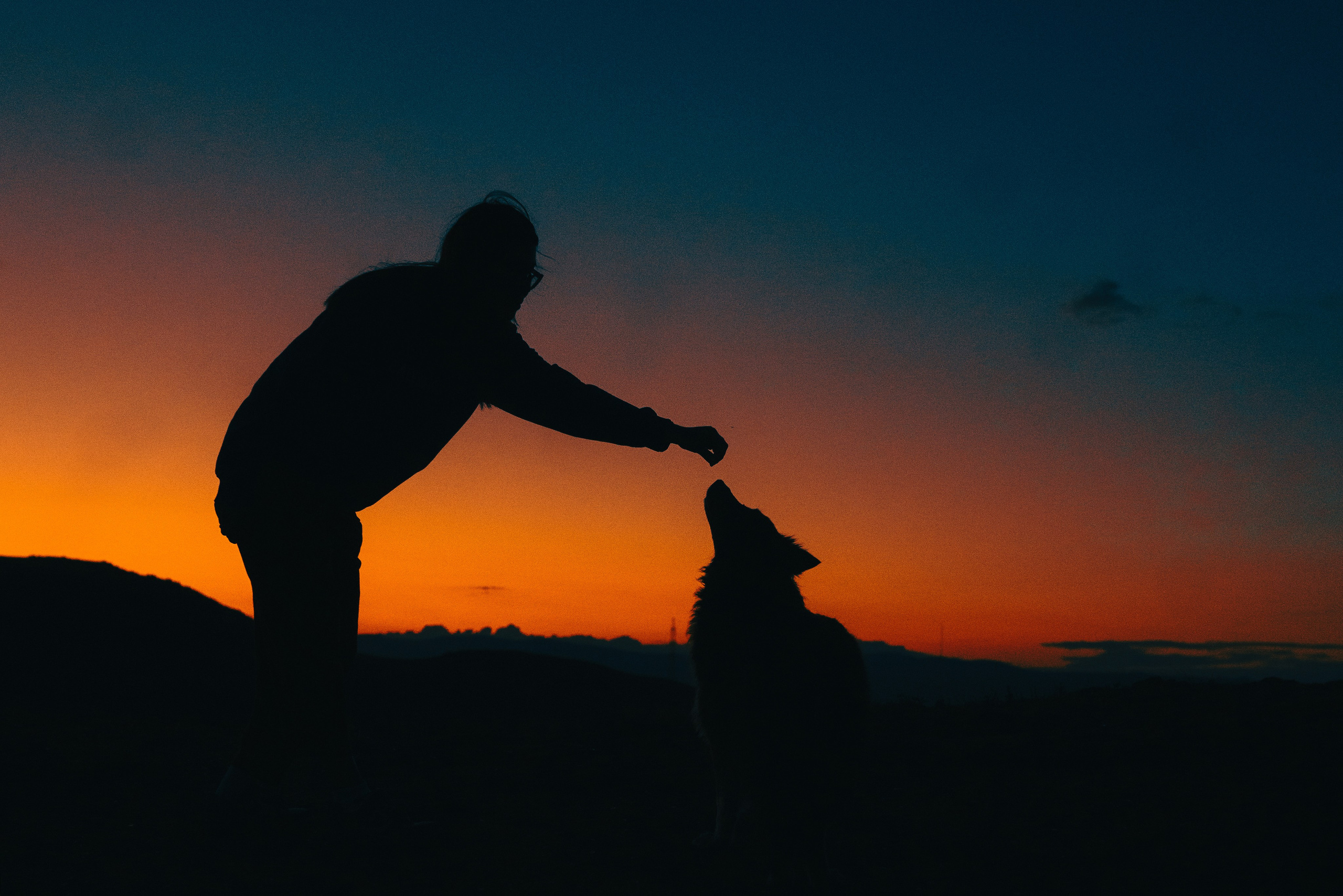 Настя и Умка. Фотограф анималист в Спб недорого Олеся Майорова