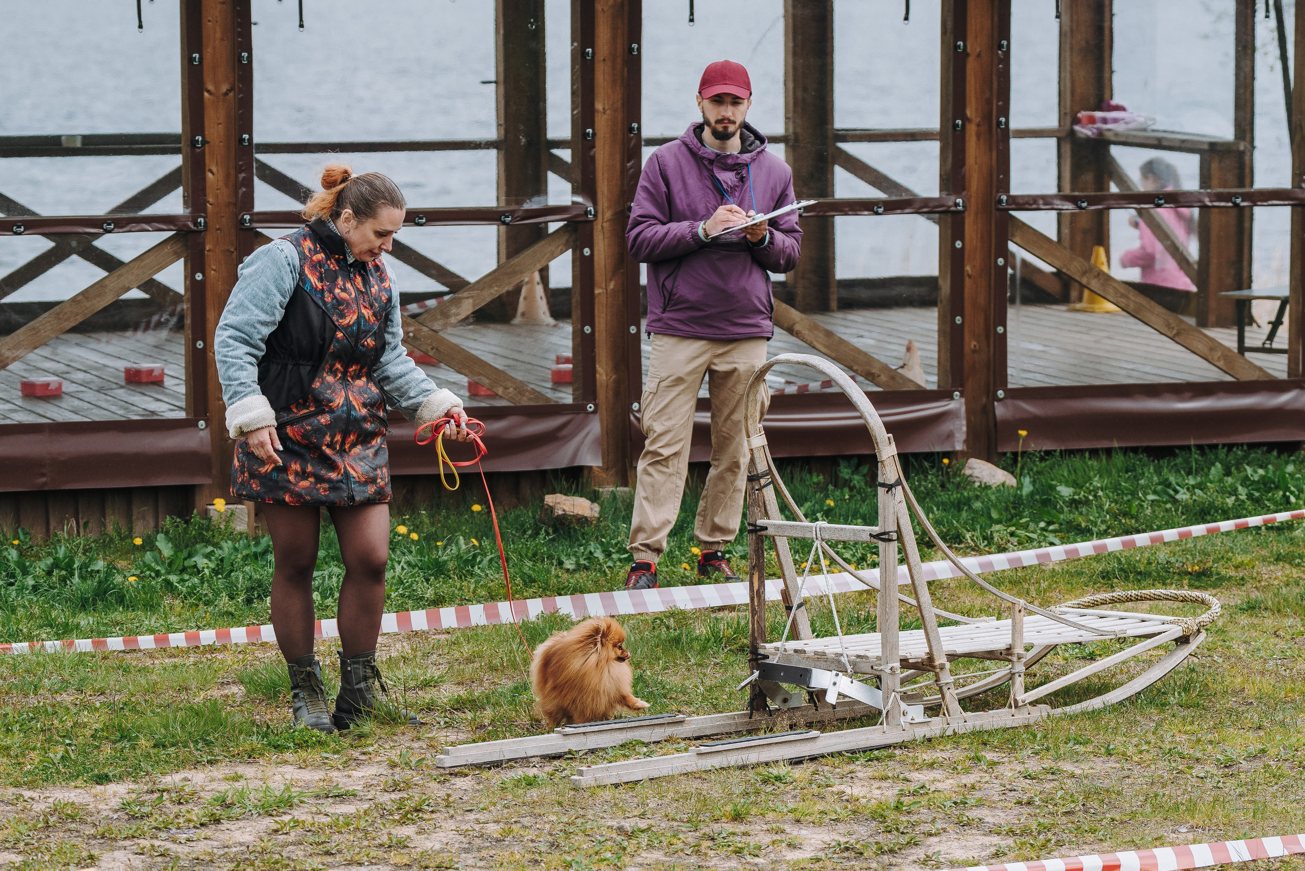 Соревнования по ноузворку в Лосево. Фотограф анималист в Спб недорого Олеся Майорова