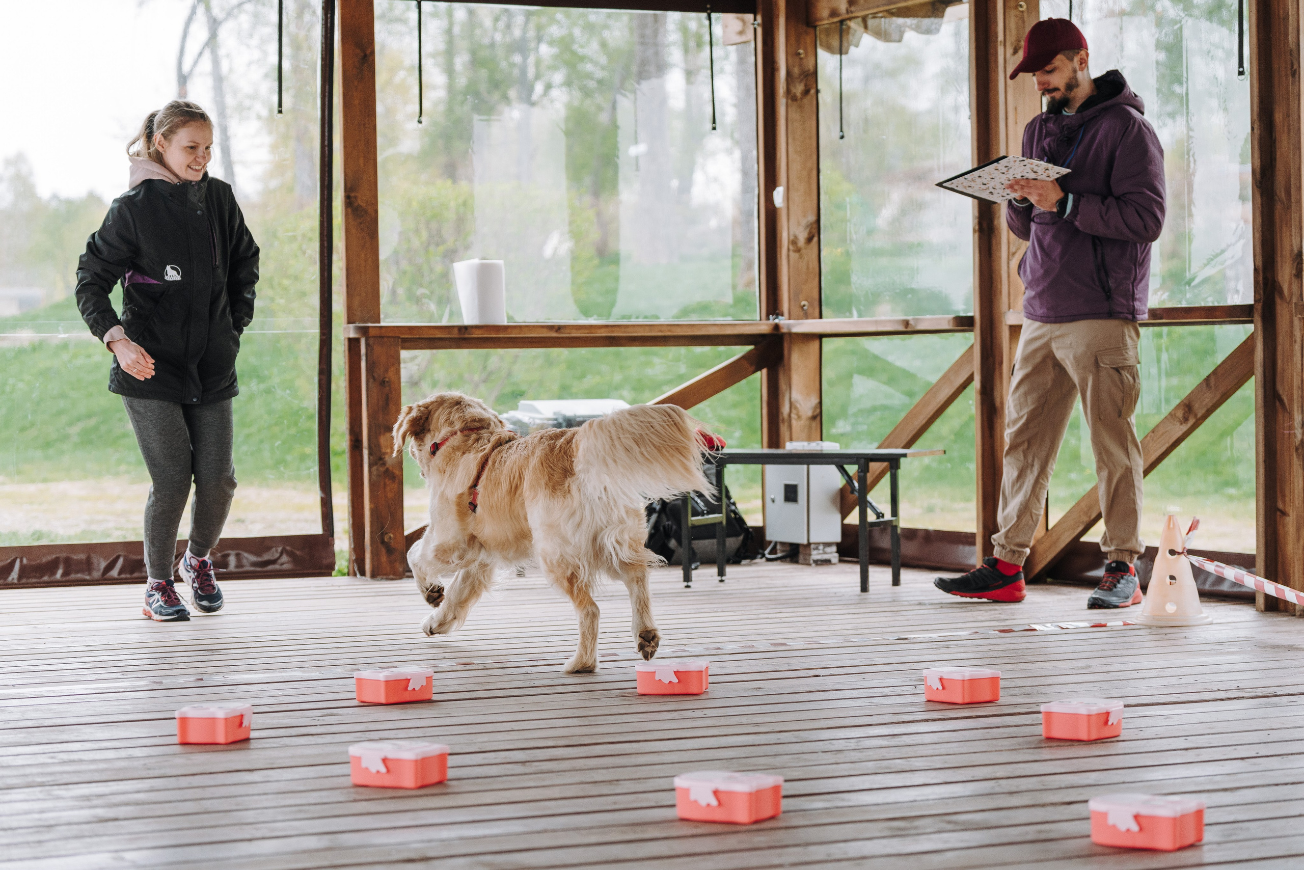 Соревнования по ноузворку в Лосево. Фотограф анималист в Спб недорого Олеся Майорова