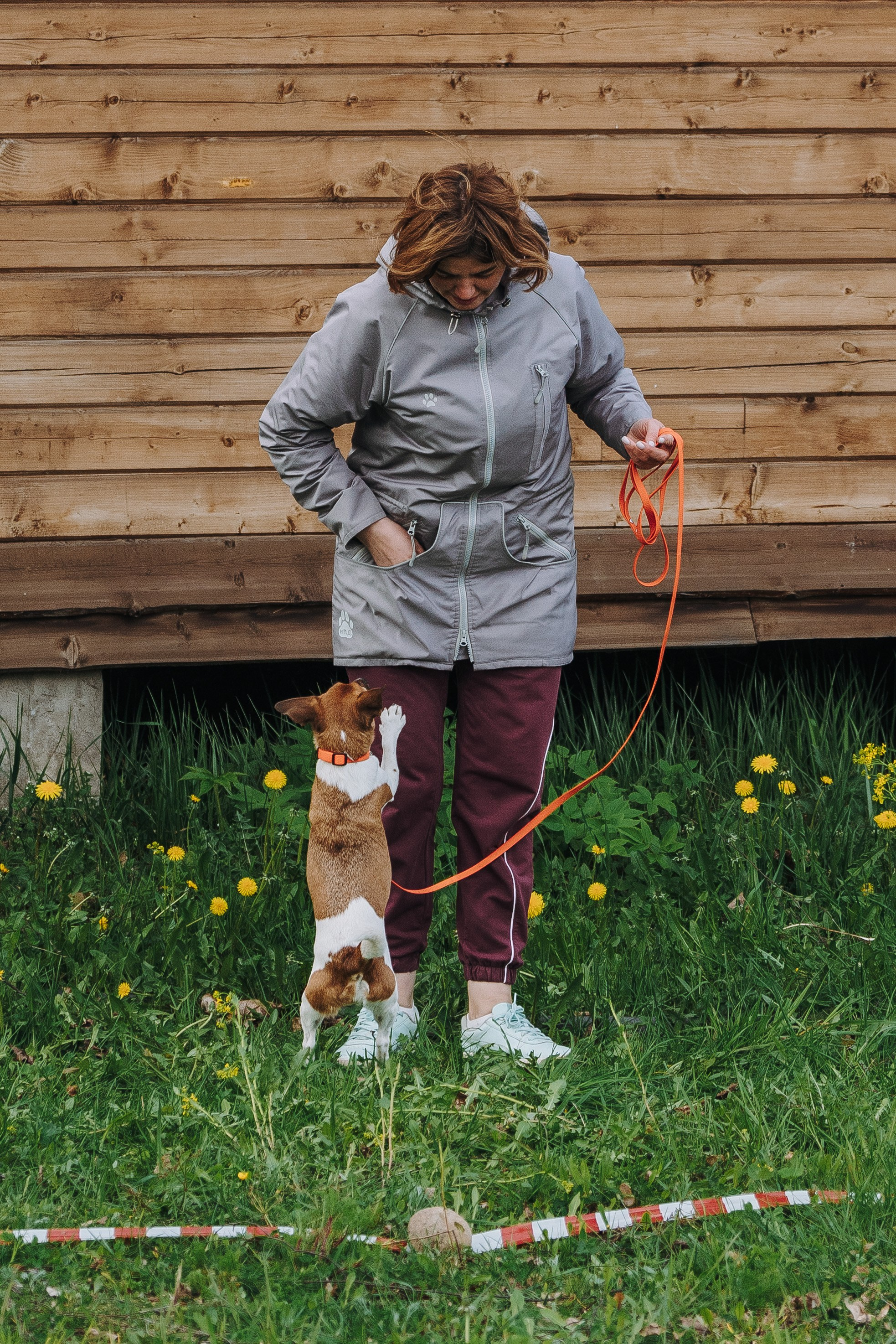 Соревнования по ноузворку в Лосево. Фотограф анималист в Спб недорого Олеся Майорова