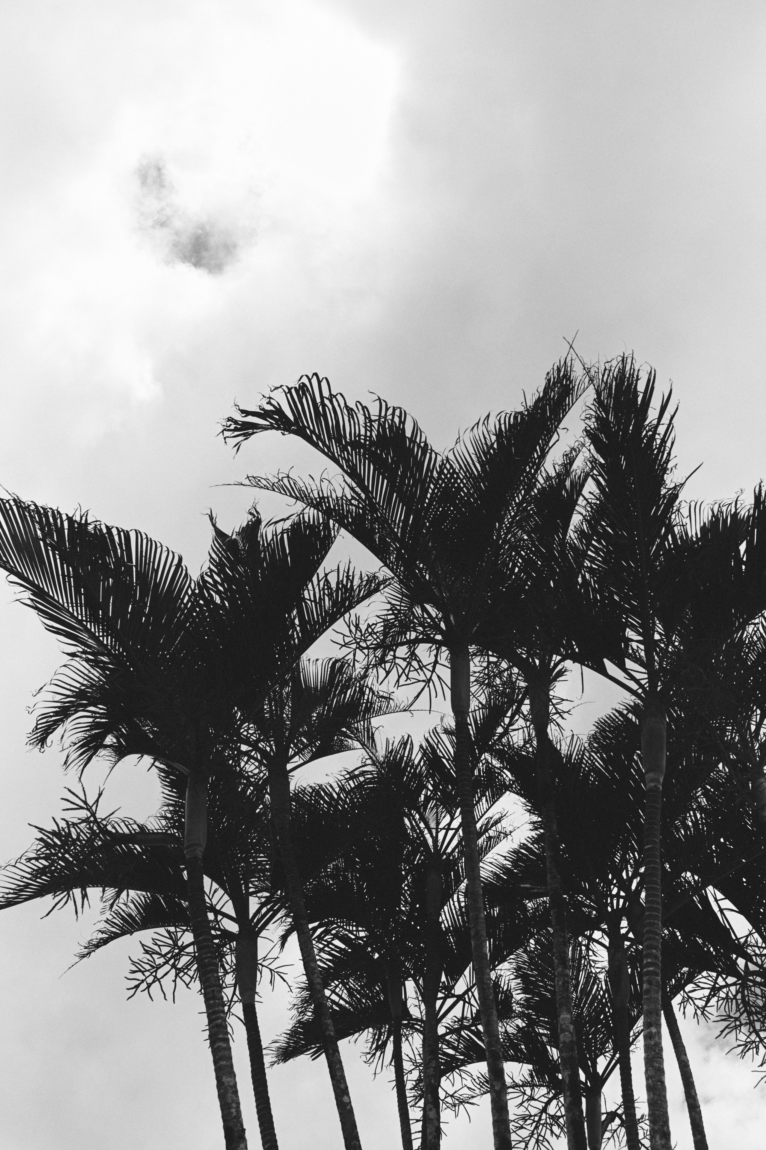 U Magazine x Выездная редакция. Фотограф Сурков Никита