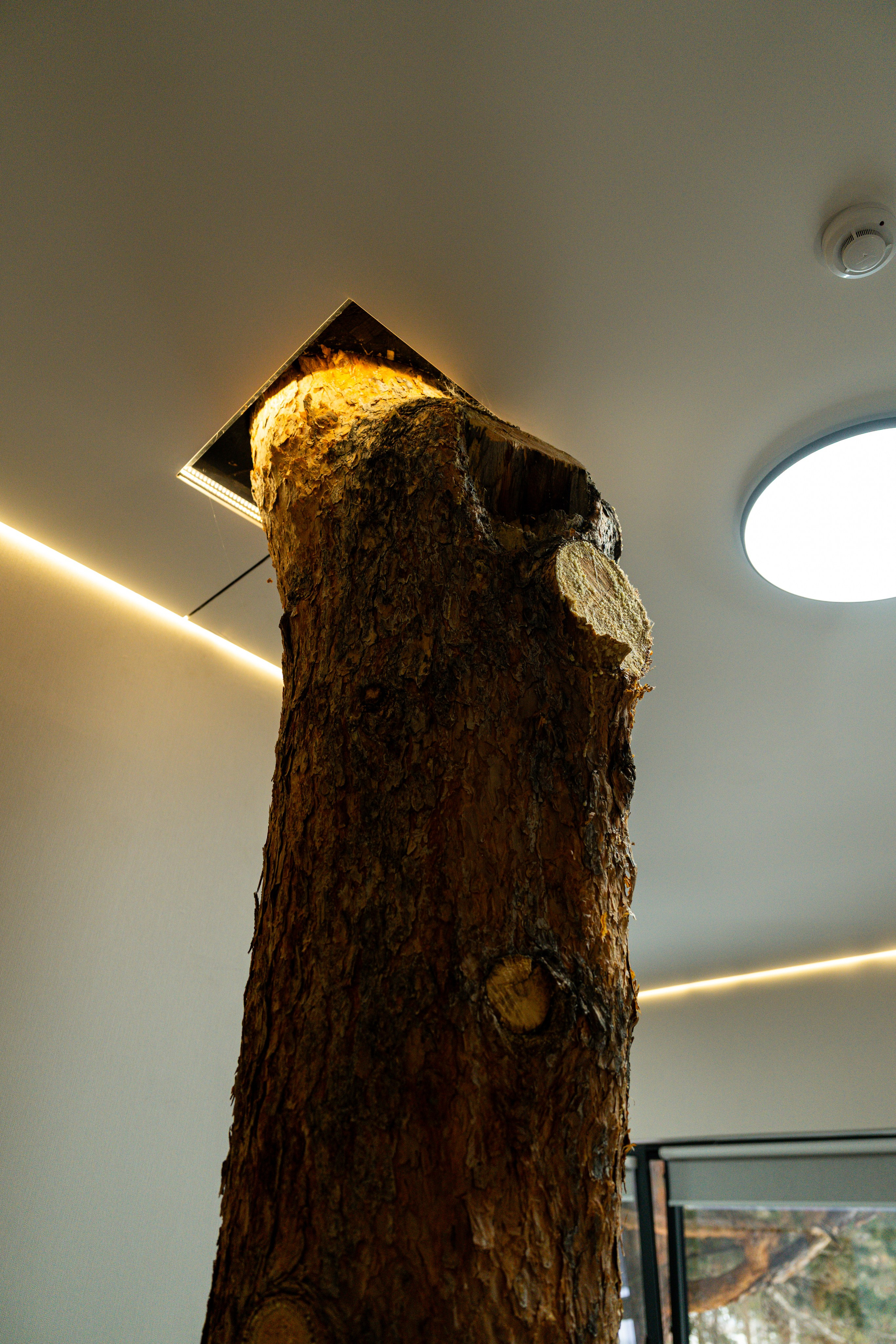 Эклер. Фотограф и видеограф Елена Хмелевская