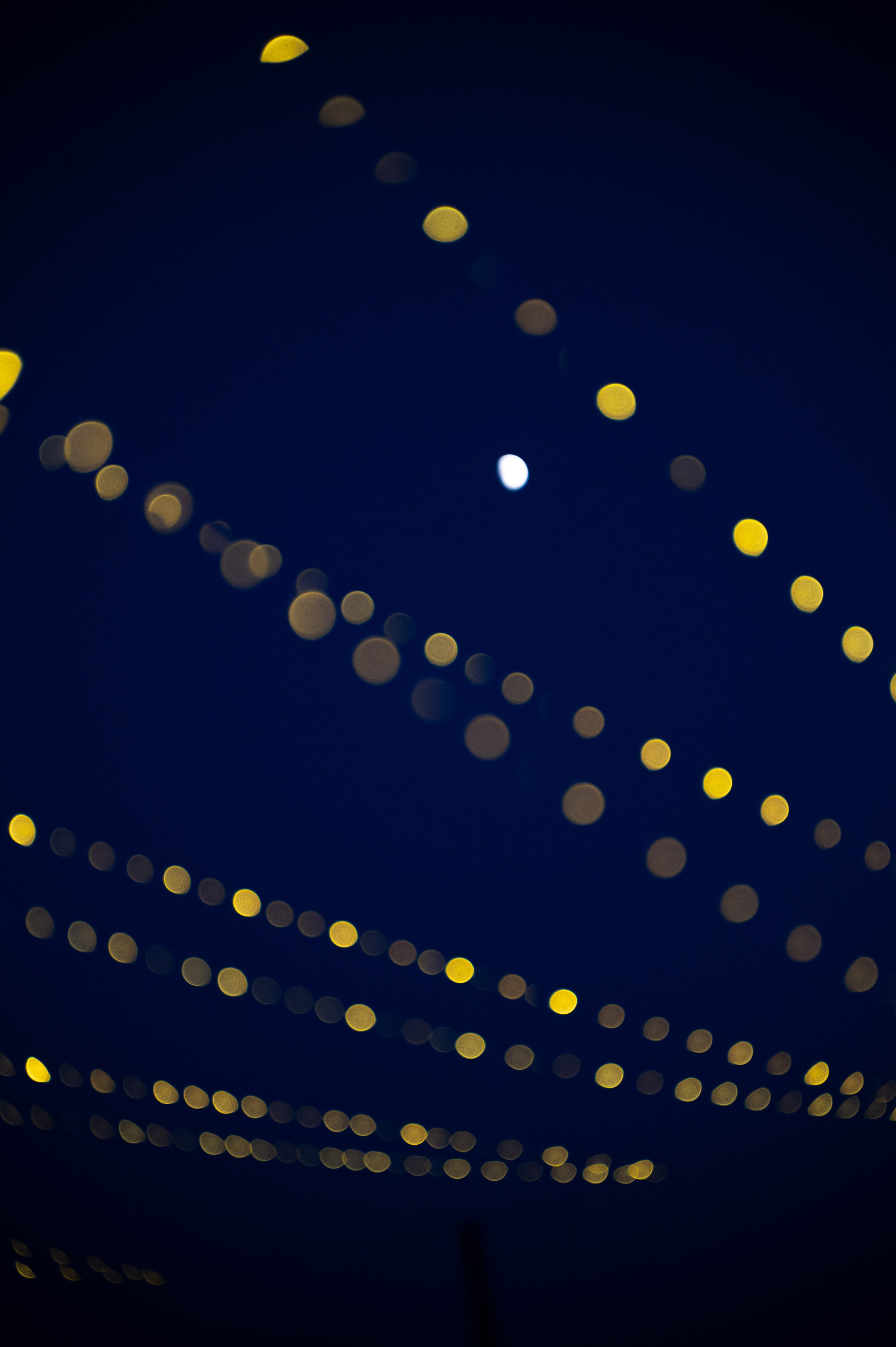 Яркая свадьба самара. Свадебный фотограф Тольятти Самара Холмов Артем