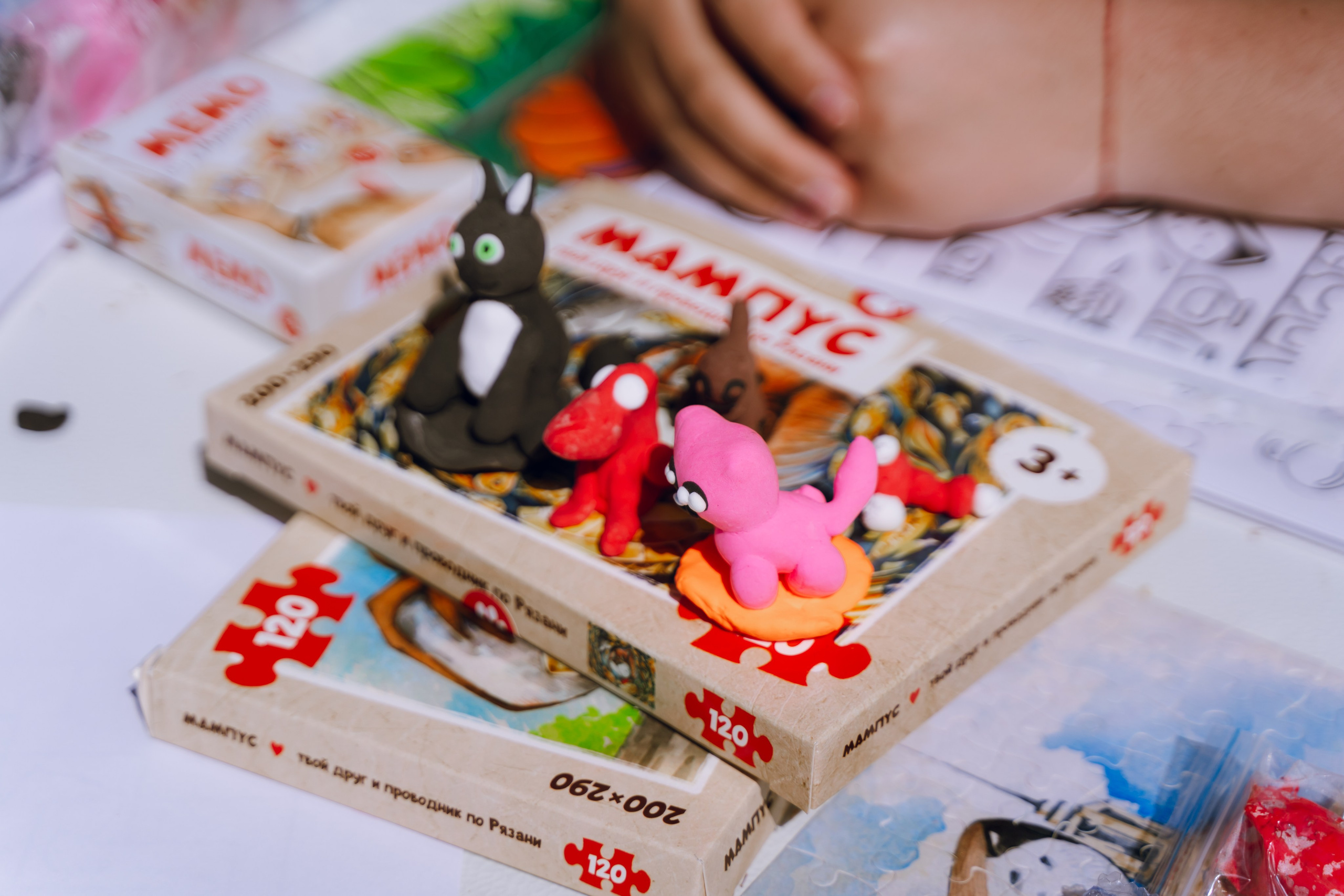 Площадка фестиваля «Мампус и его друзья» в Лесопарке 2025. Фотограф Надежда Погребняк | Рязань | Москва