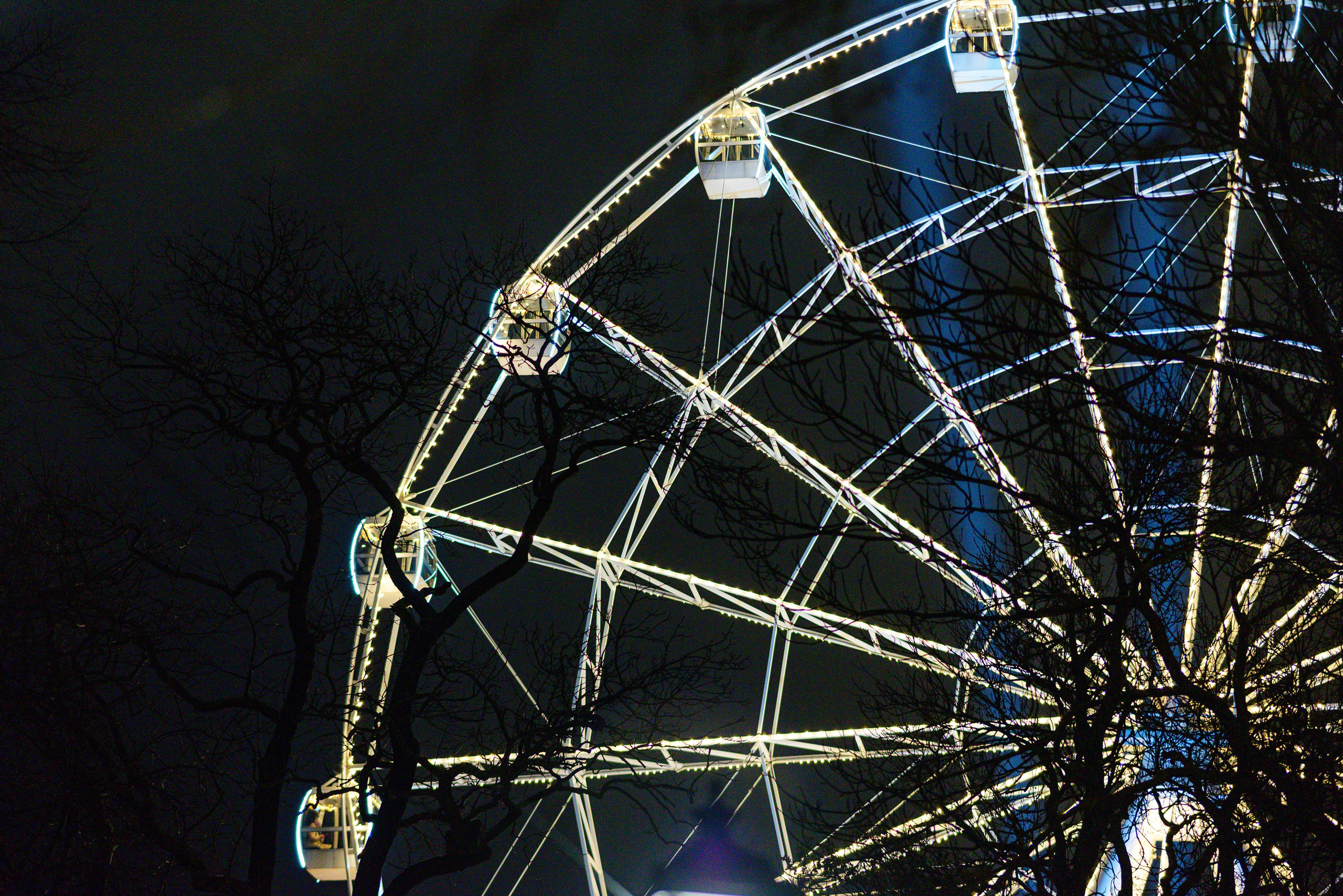 Зимняя Калининградская область. Фотосъемка и видеосъемка в Калининграде Liveemotion.pro