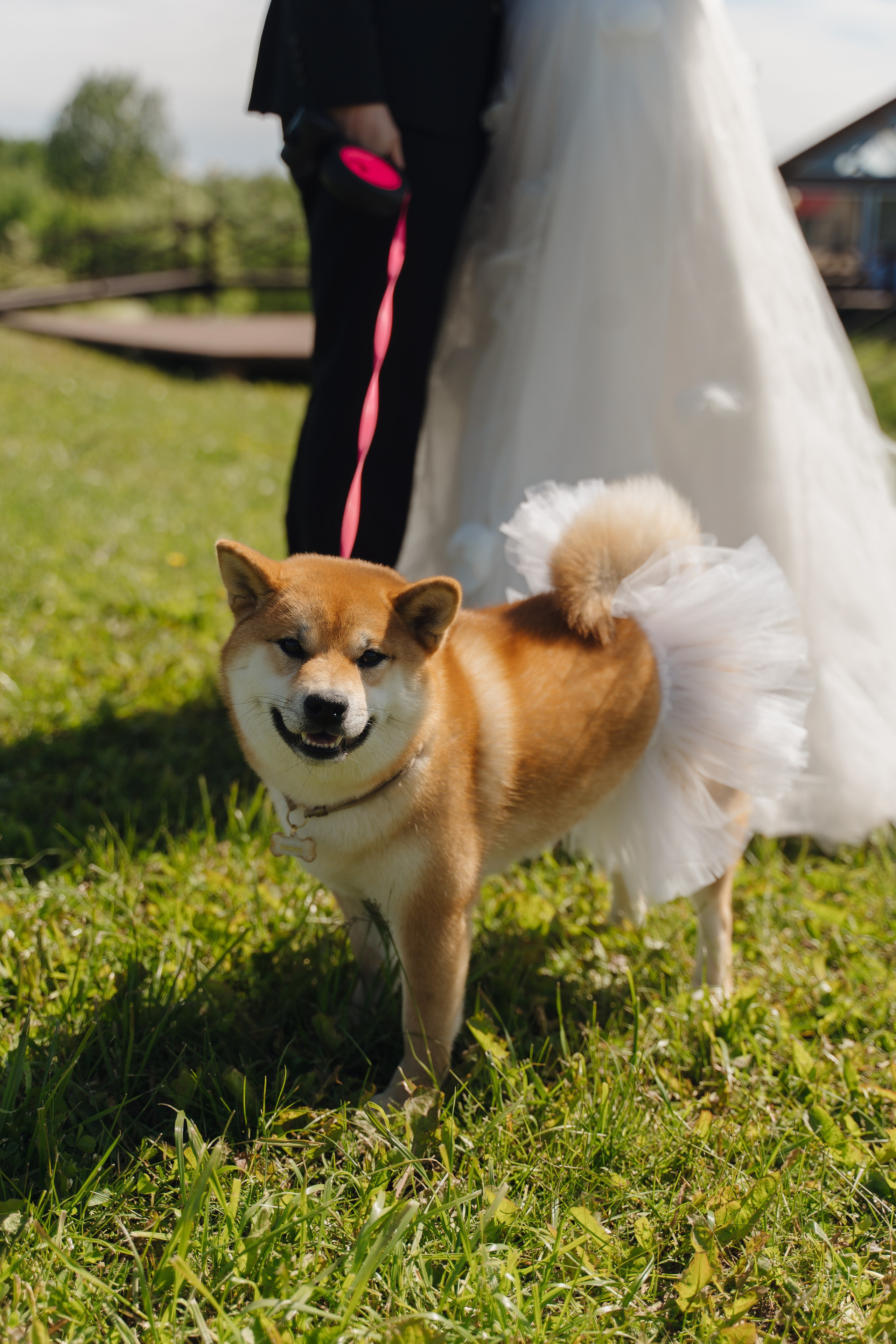 V|M. Семейный, свадебный и лавстори фотограф в Архангельске