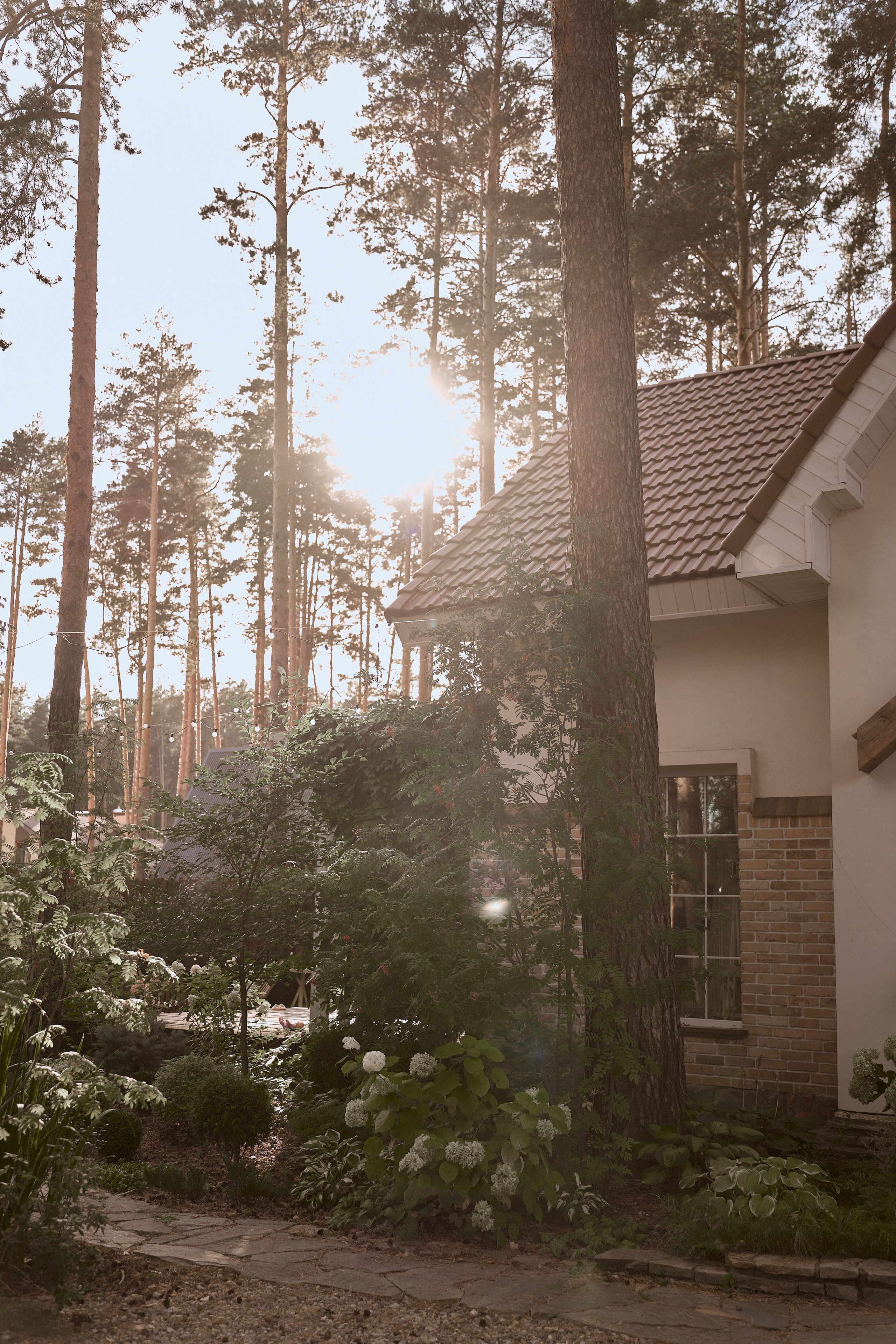 Тепло летом. Ваш фотограф Анастасия Болотникова