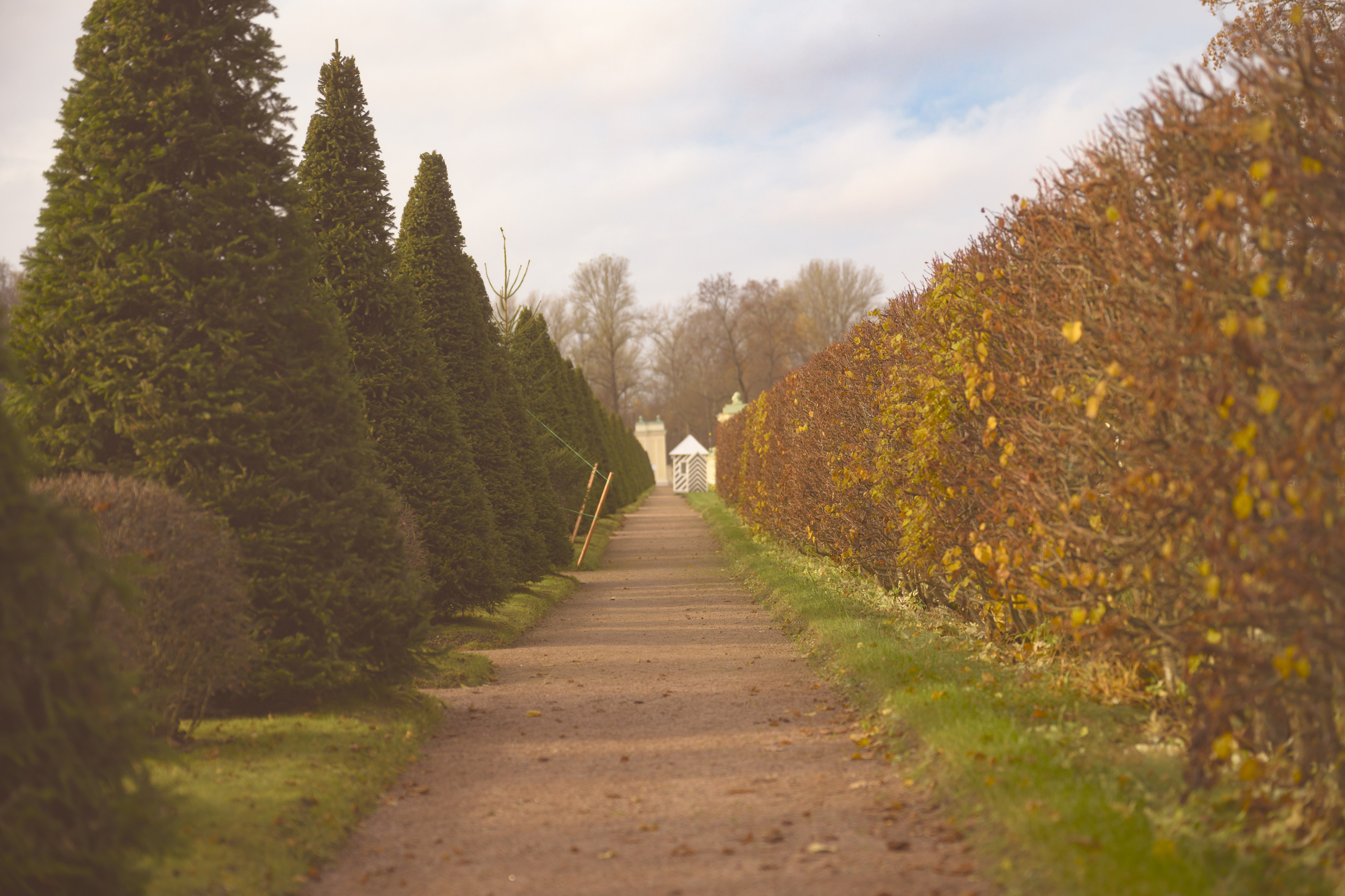 SAINT PETERSBURG | SUBURBS. Personal website of photographer Dmitry Raikin