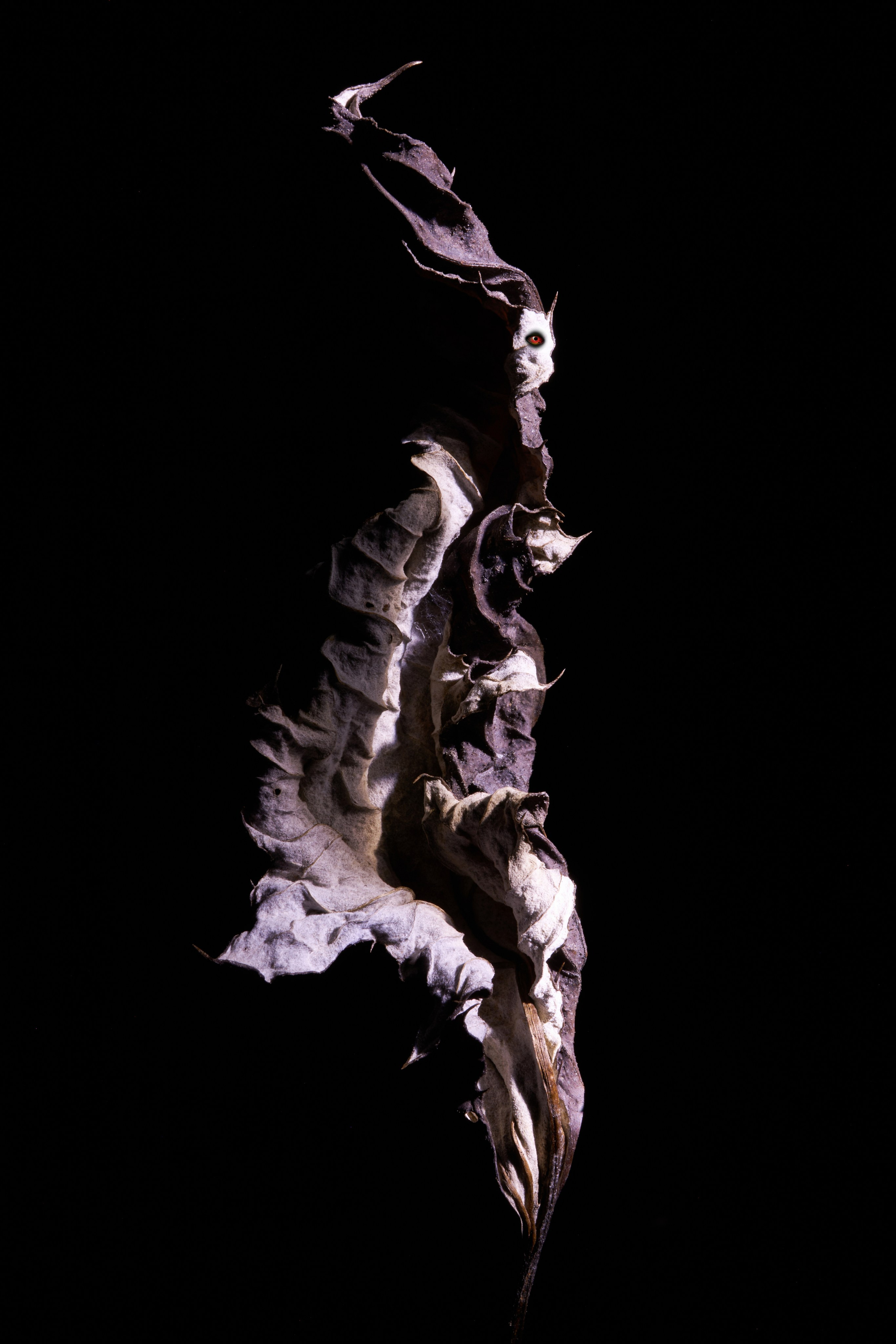 Милые Монстры или Тёмная Сторона. Репортажный Фотограф во Владивостоке и России Осипчук Дмитрий