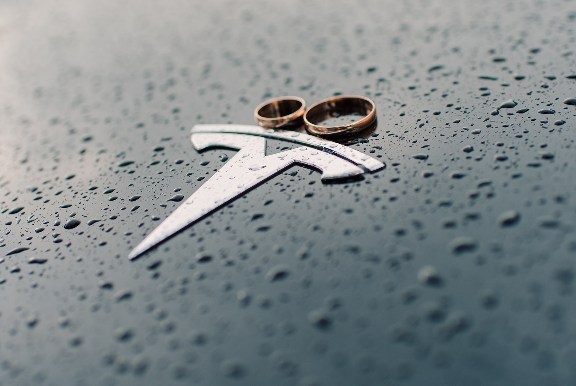 Екатерина и Степан. Свадьба для двоих. Екатерининский — Витебский — Михайловский. Семейный и Свадебный фотограф. Санкт-Петербург. Пушкин