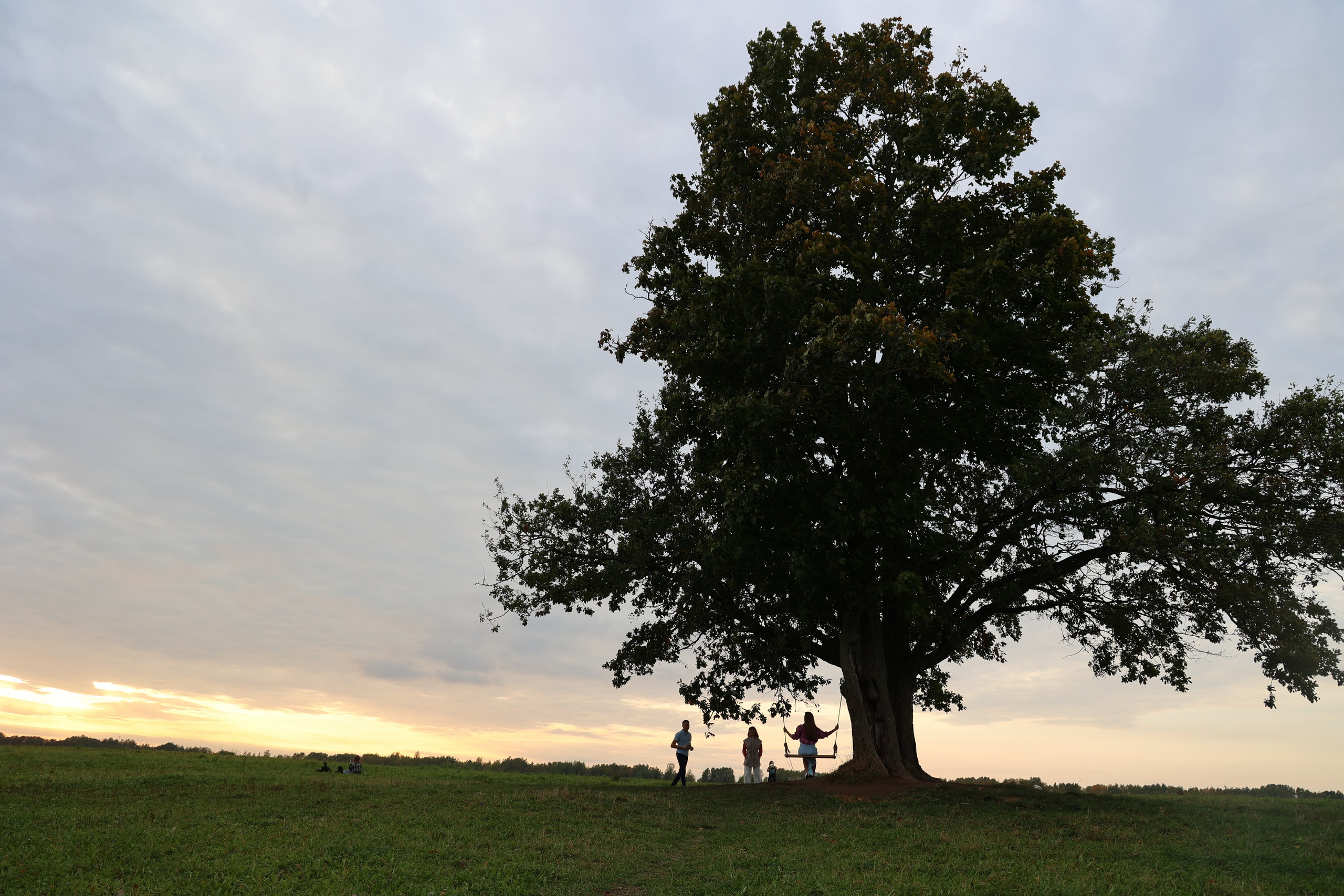 Любимое. Фотограф в Санкт-Петербурге Анна Сосновская